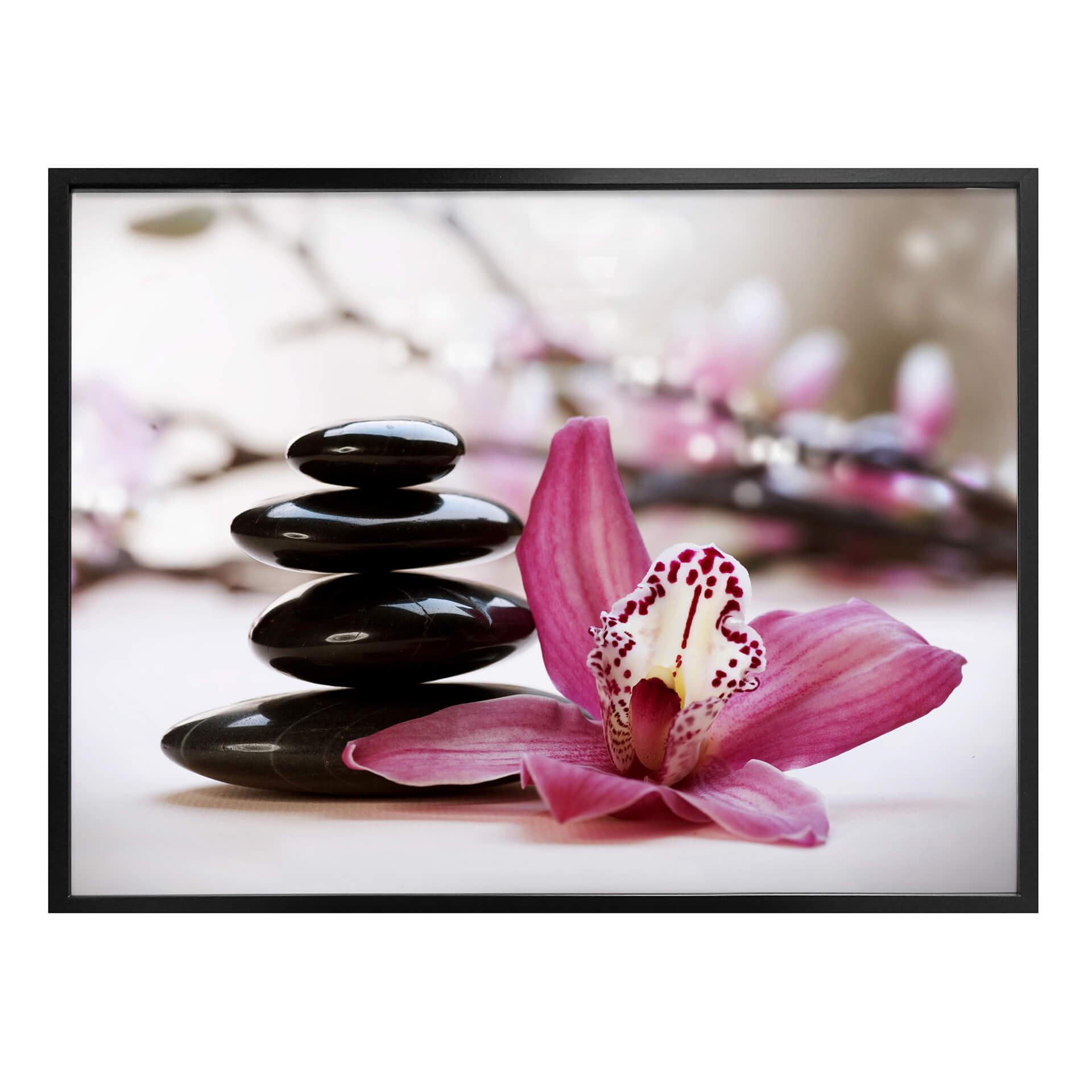 Poster - Orchidée