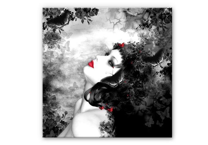 Tableau Forex - Image de papillon noir