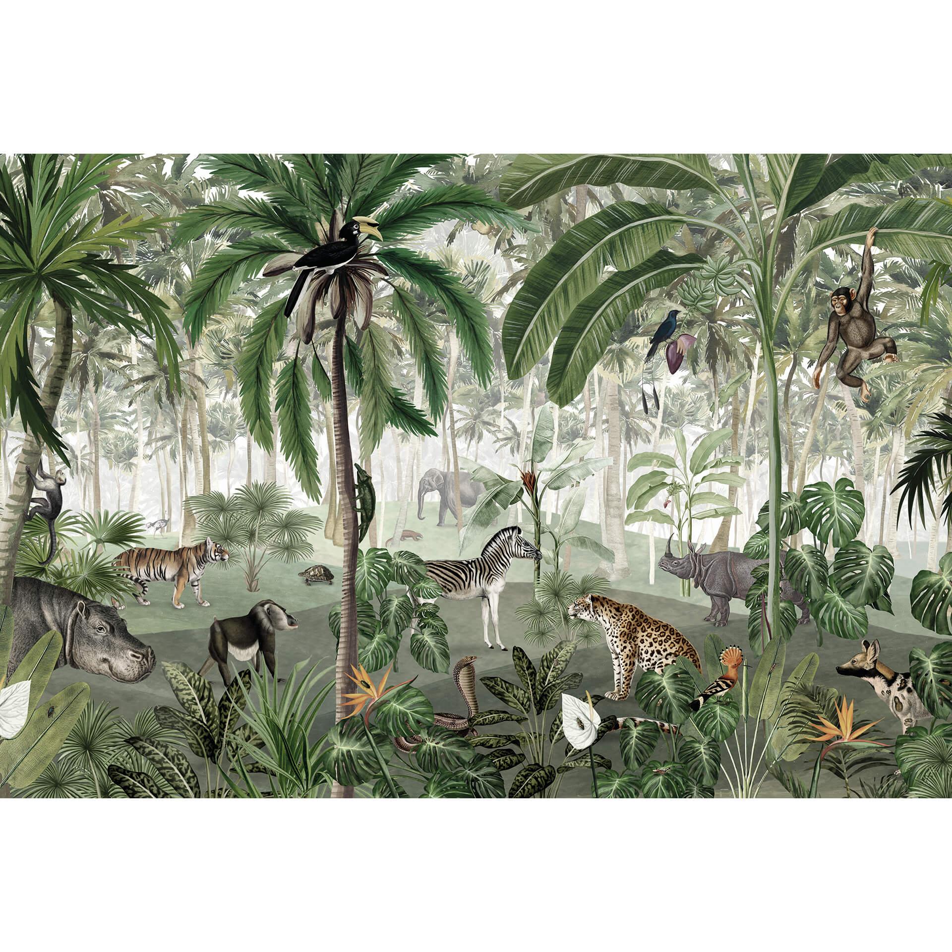 Fotobehang Kikki Belle - Look into the Jungle