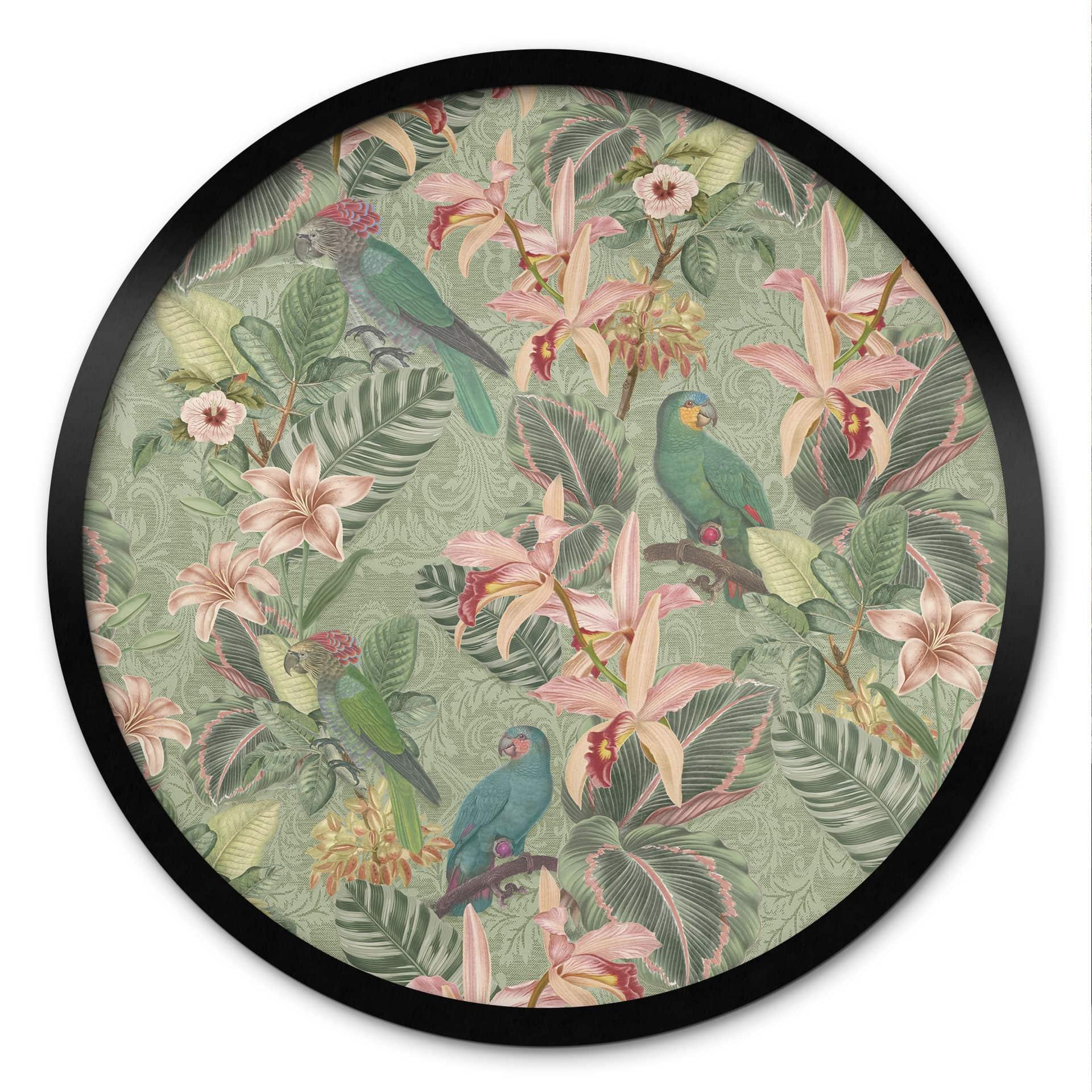 Plakat Jungle med papegøjer Grøn - Blomsterdekoration - Rund