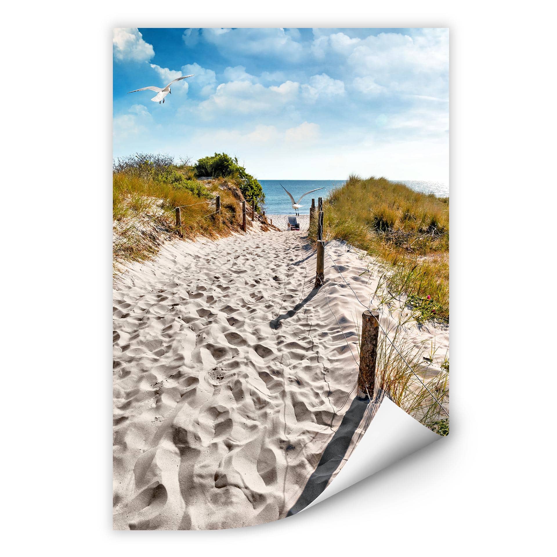 Zelfklevende Poster Way to the Beach