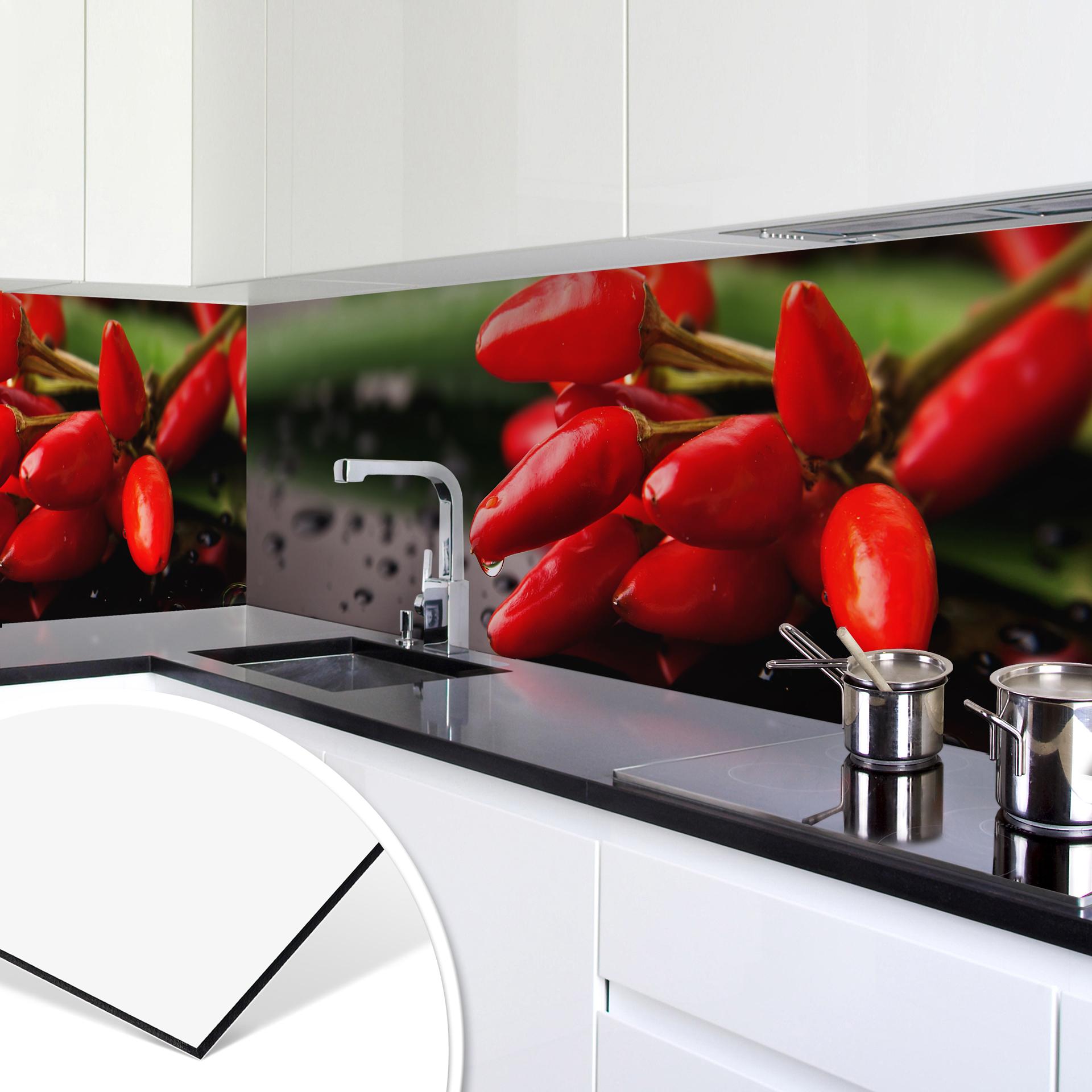 Revêtement pour cuisine - Alu-Dibond - Piments exotiques