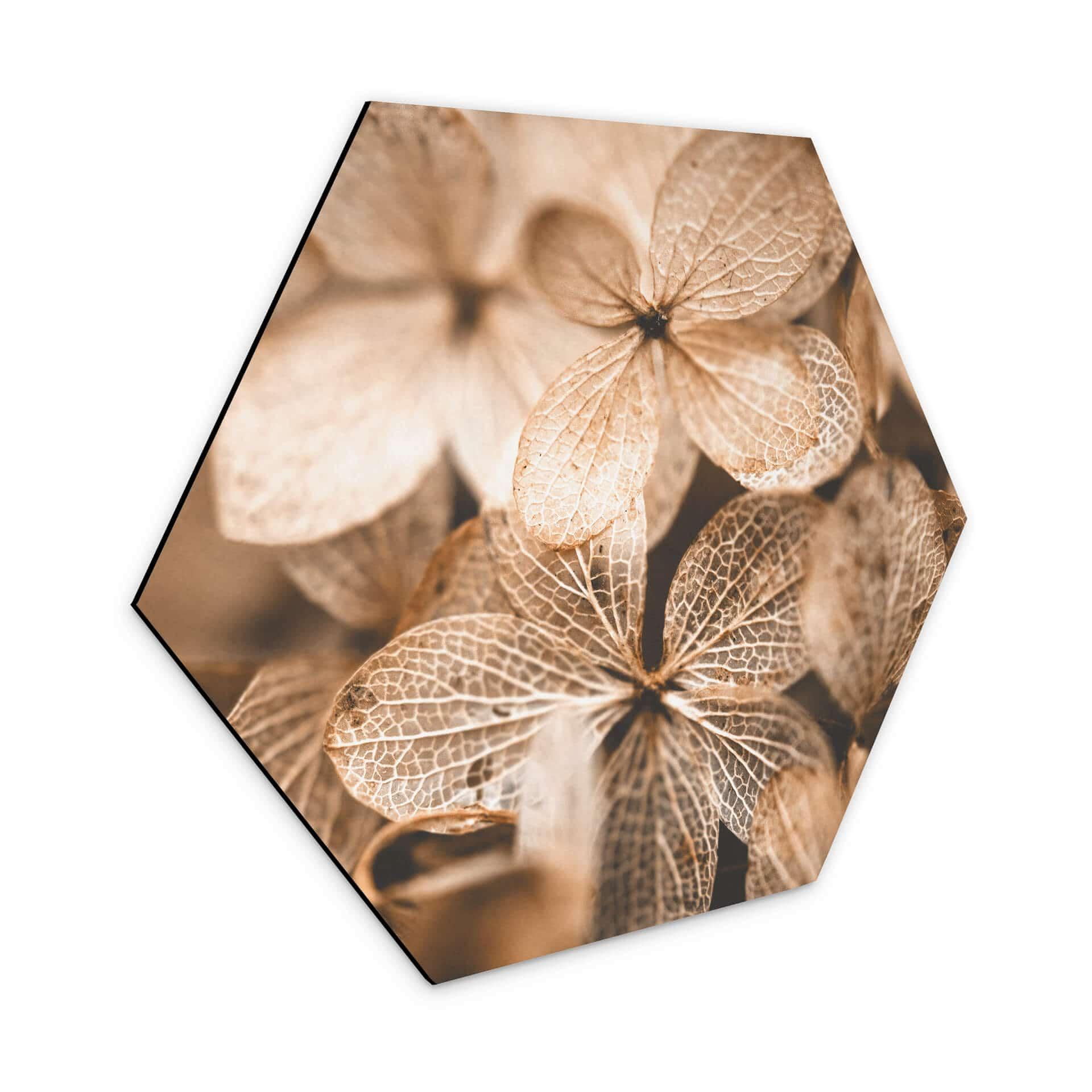 Hexagone - Alu-Dibond Annie - Fleurs délicates