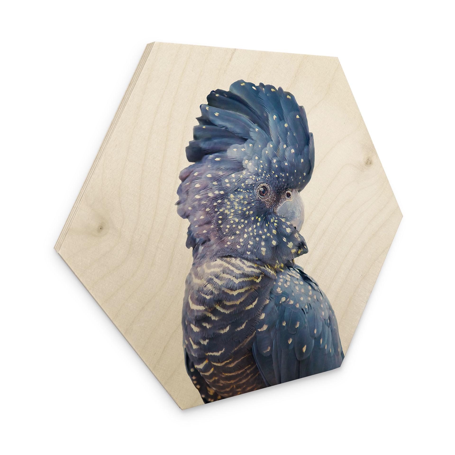 Hexagon Hout berkenfineer - Sisi & Seb - Blauwe Kaketoe