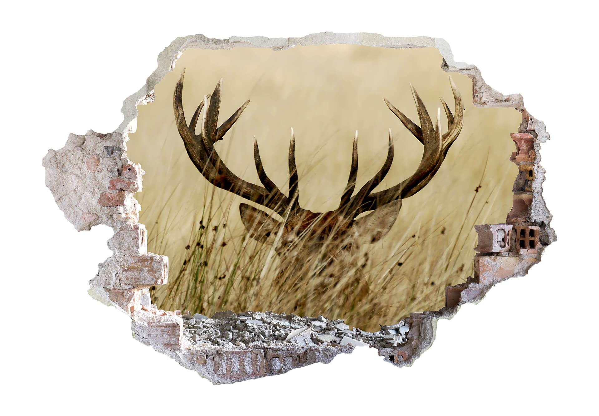 3D Muursticker Hert