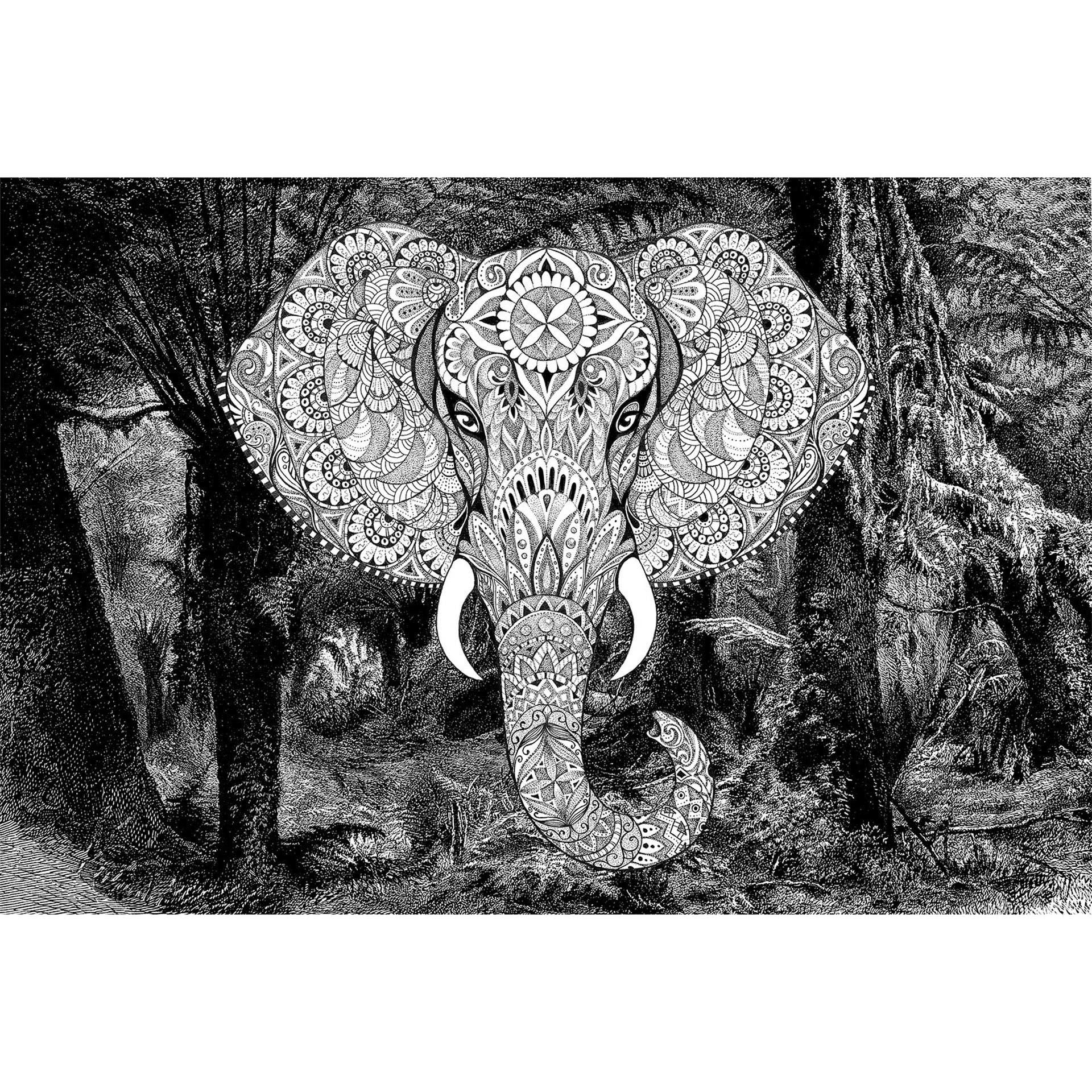 Fototapete Atelier 47 Elephant Head Tiere - Architects Paper