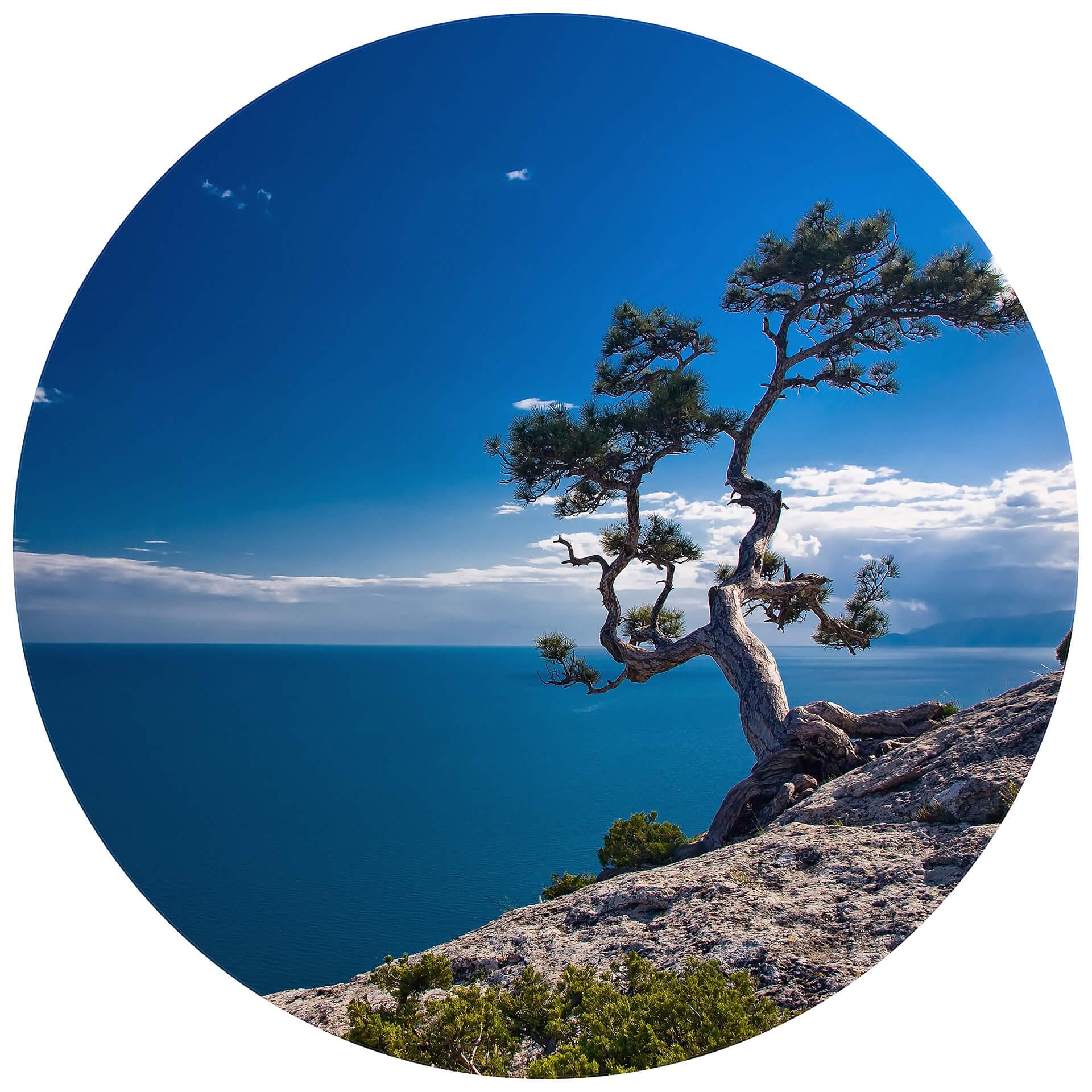 Behangcirkel Sea and Tree - vliesbehang/zelfklevend vliesbehang
