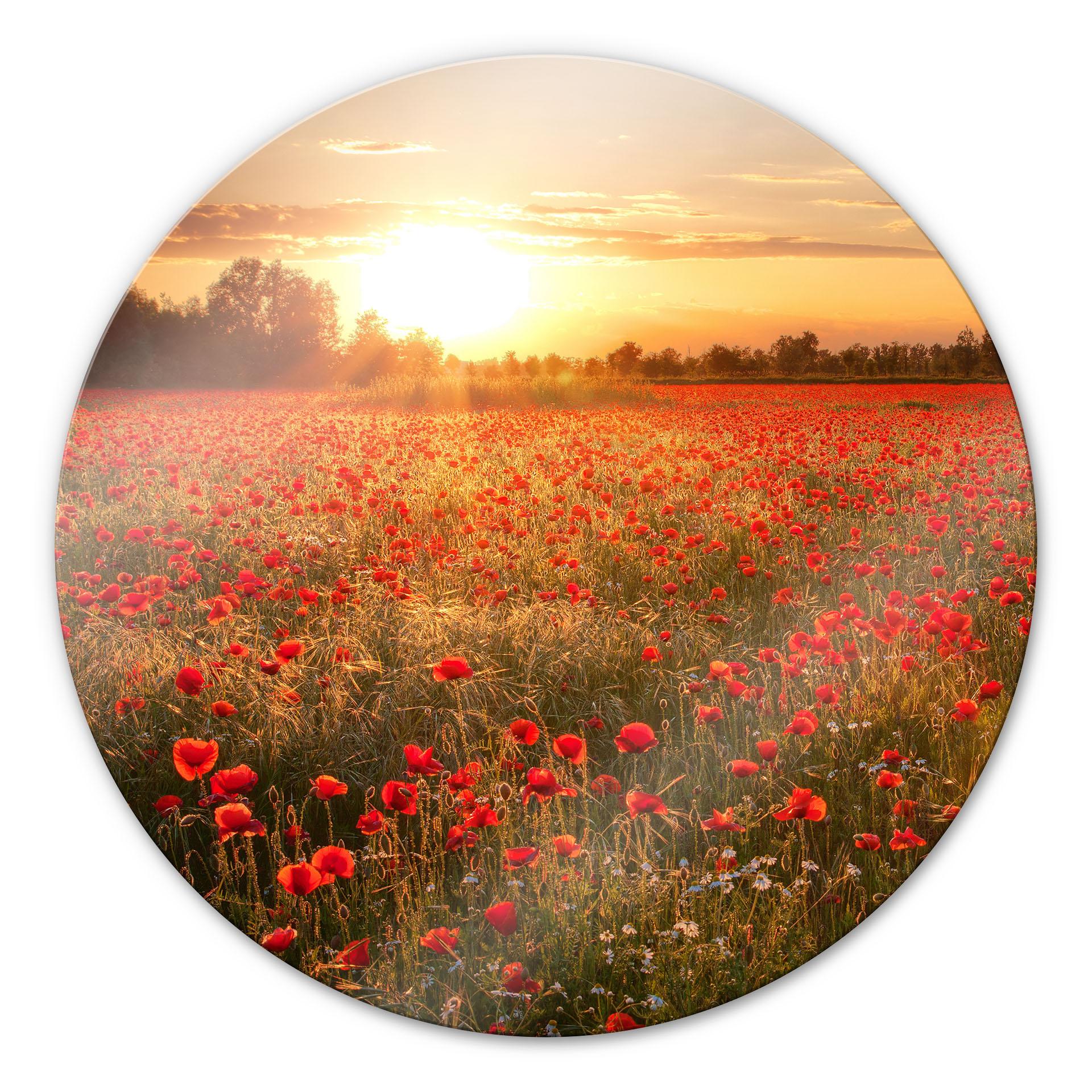 Glasbillede - Valmuemark i Solnedgang - Rund