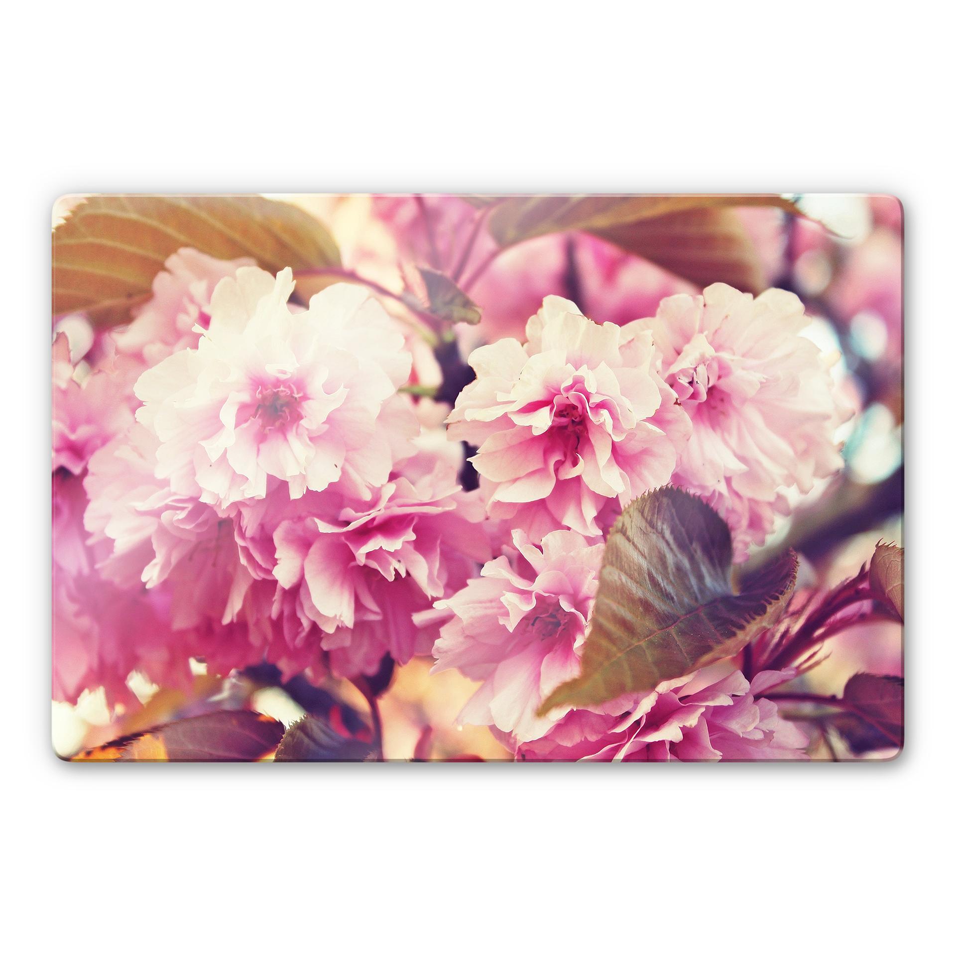 Glasbild Vintage Kirschblüten