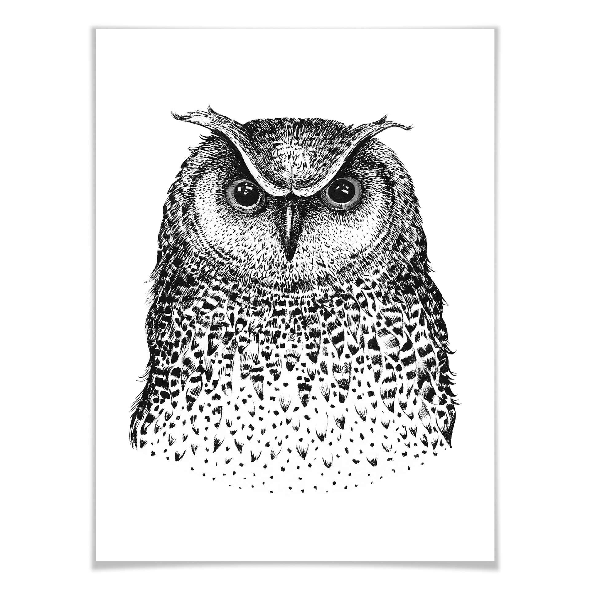 Póster Kvilis - Búho 01