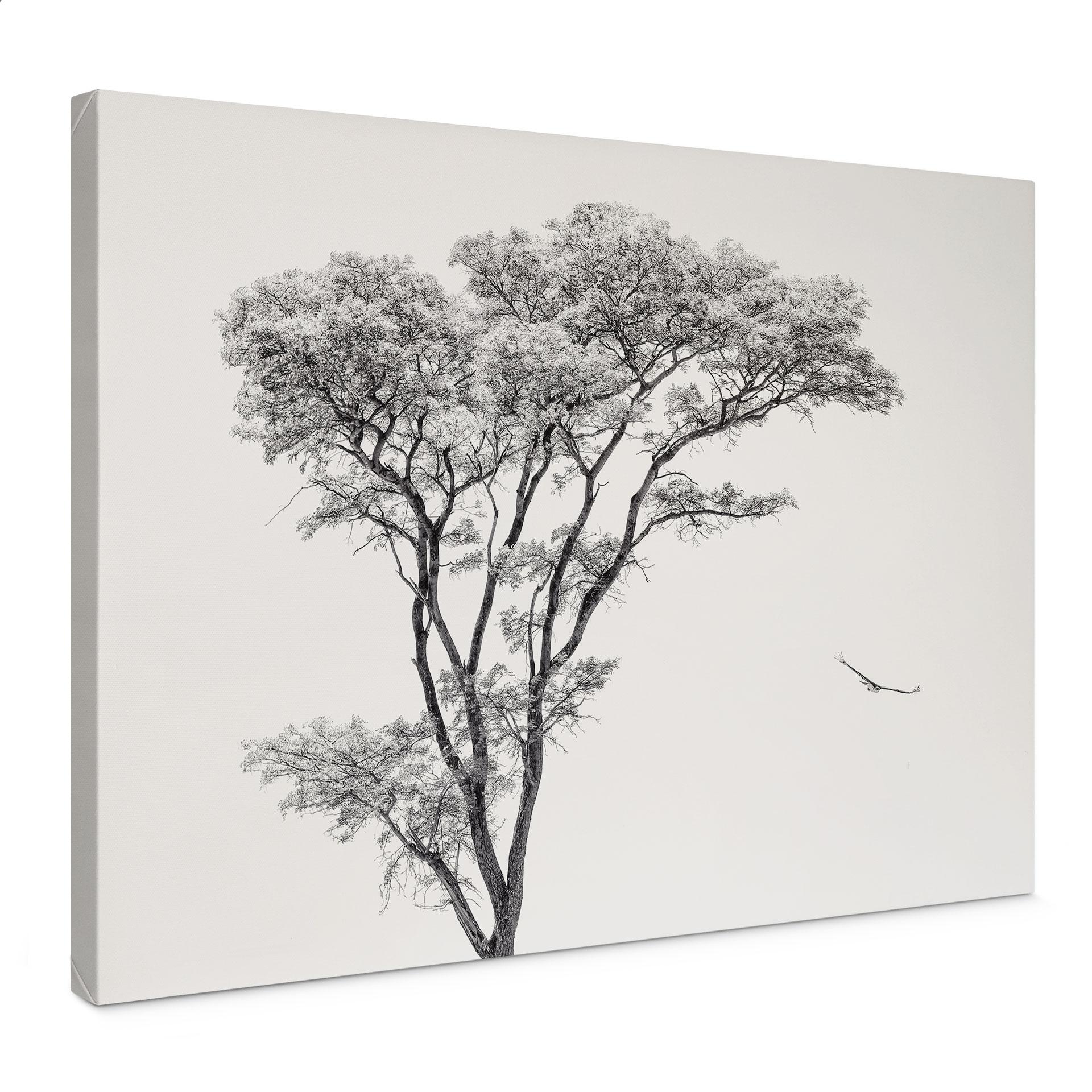 Leinwandbild Minimalistischer Baum in ruhiger Landschaft - Flour