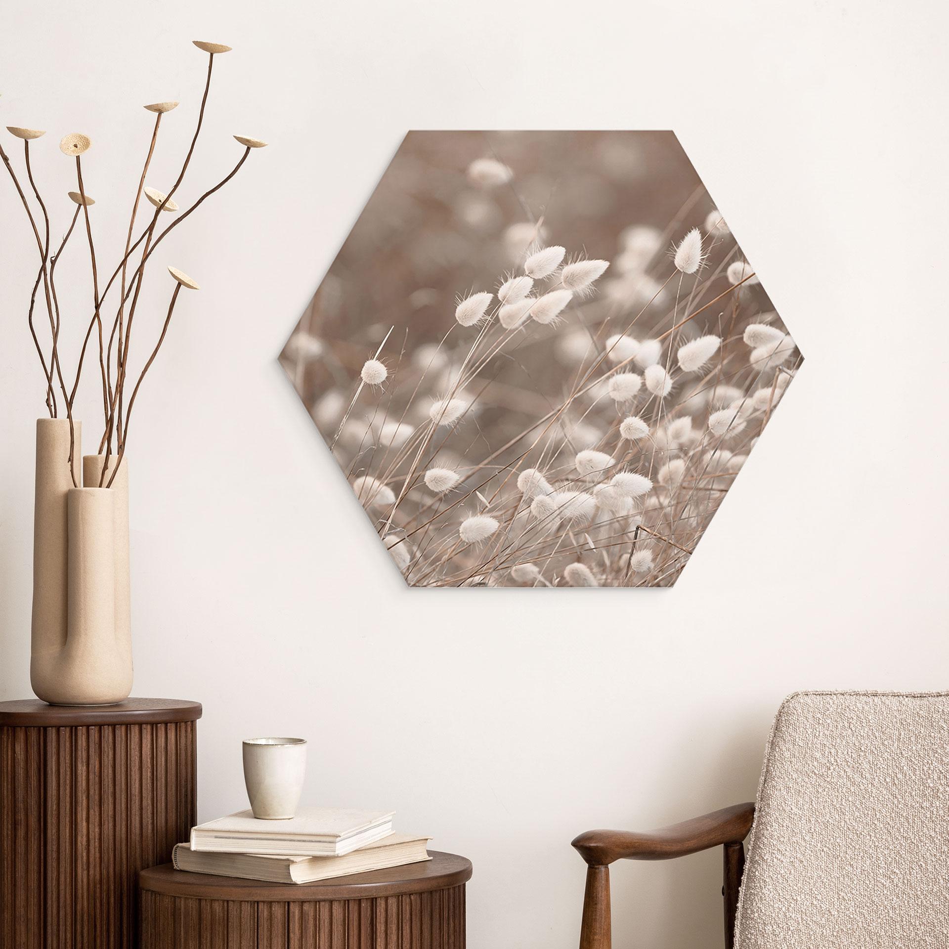Hexagon Wandbild Zarte Gräser im Herbstlicht - Collins - Alu-Dibond