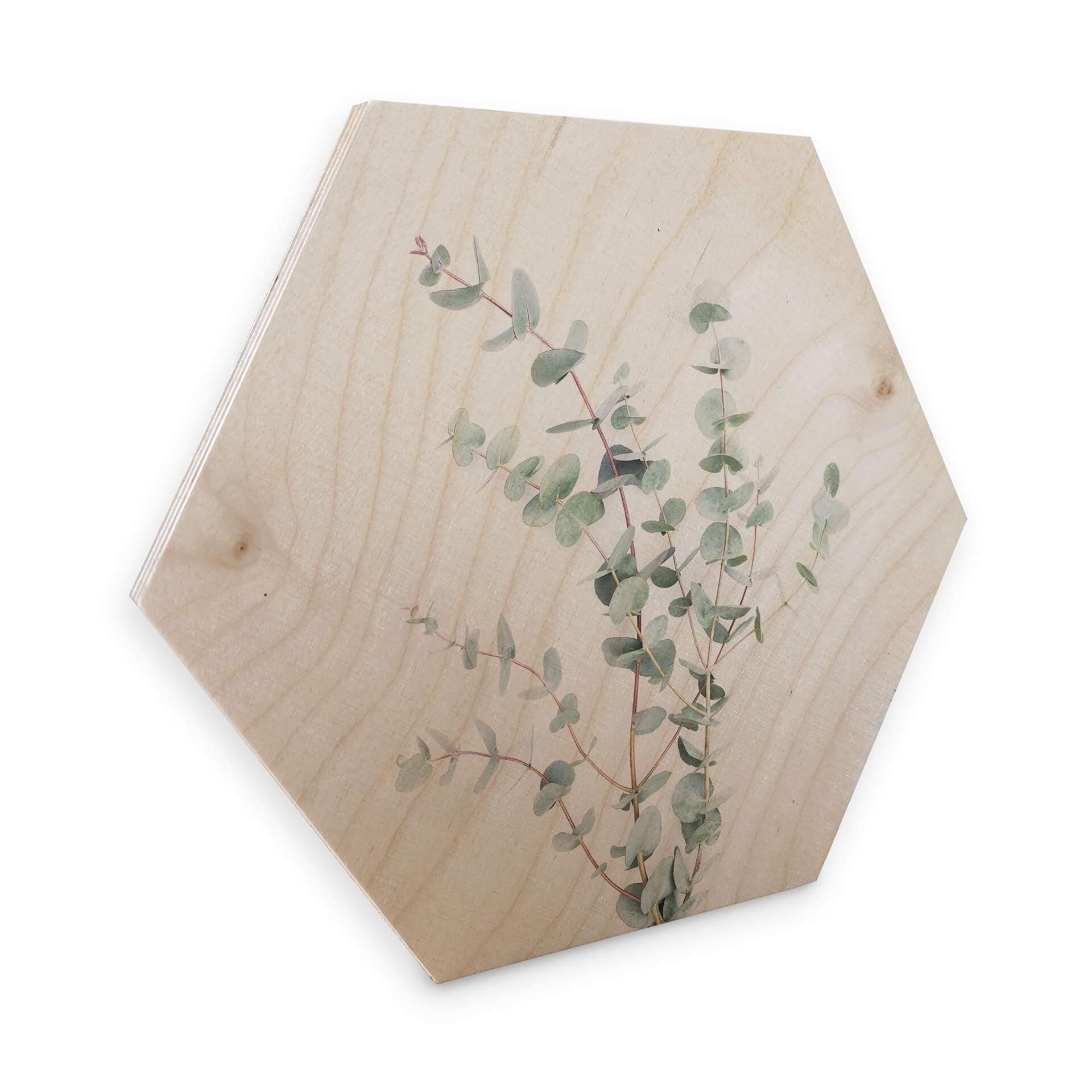 Hexagon Hout Sisi & Seb - Eucalyptustak