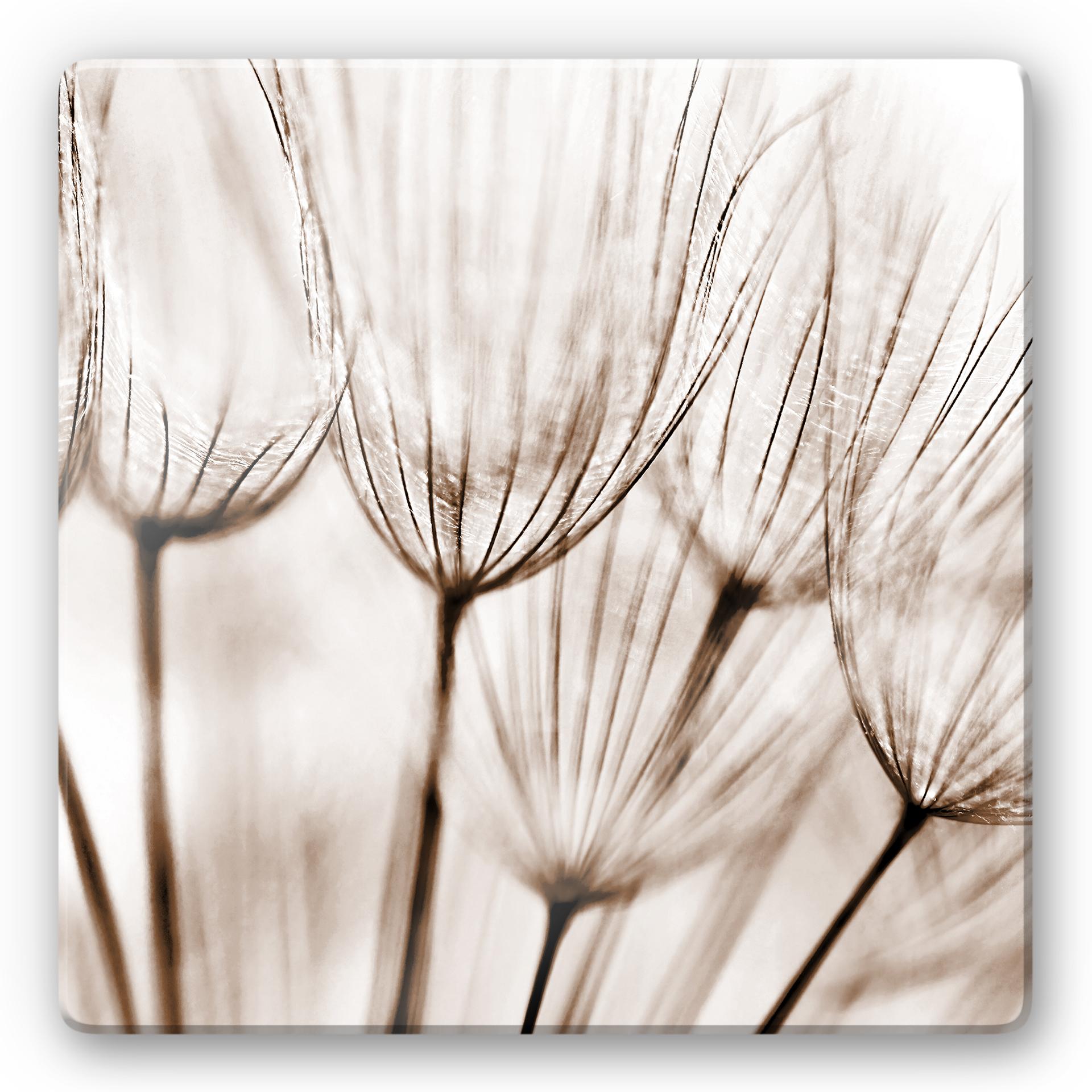 Tableau en verre - Fleurs - carré