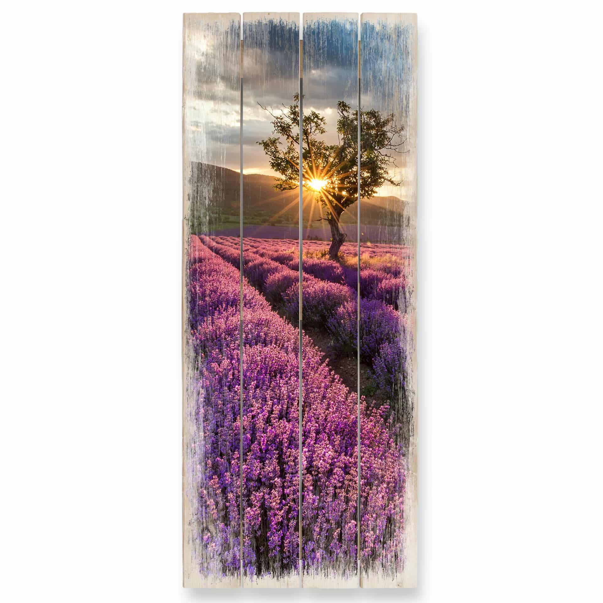 Cuadro de madera flor de lavanda en Provenza 02 - Panorama