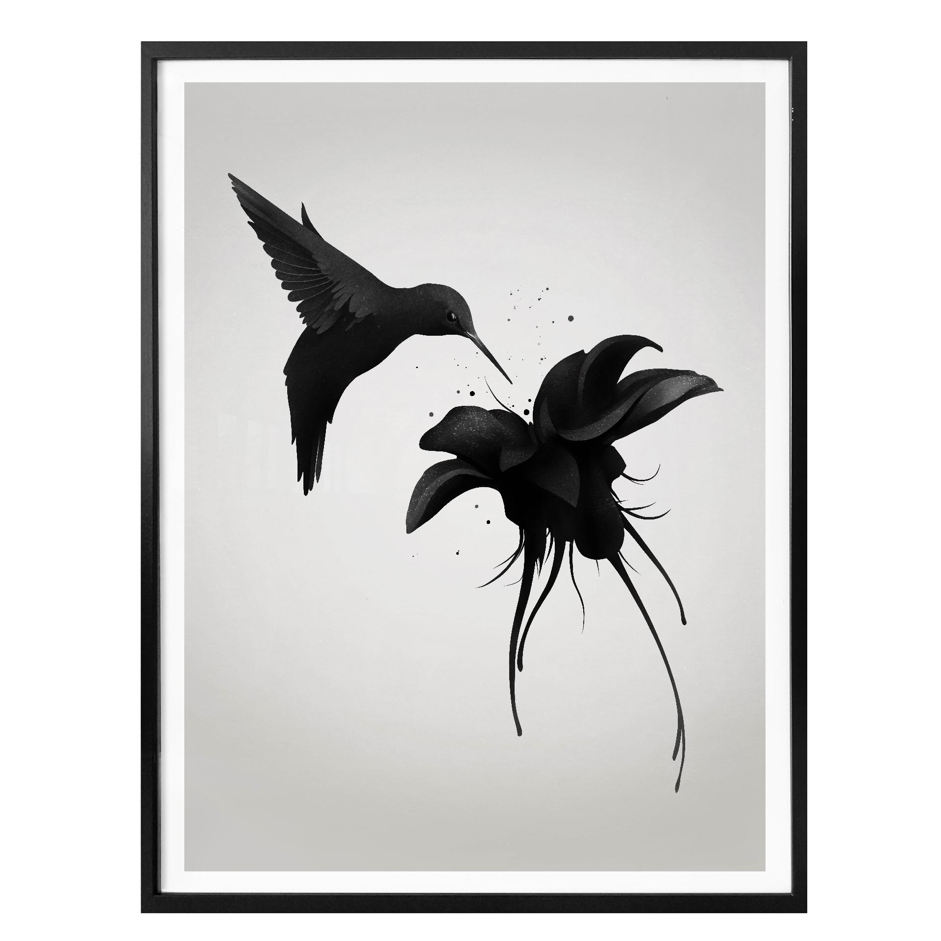 Ireland Plakat - Chorum - Kolibri