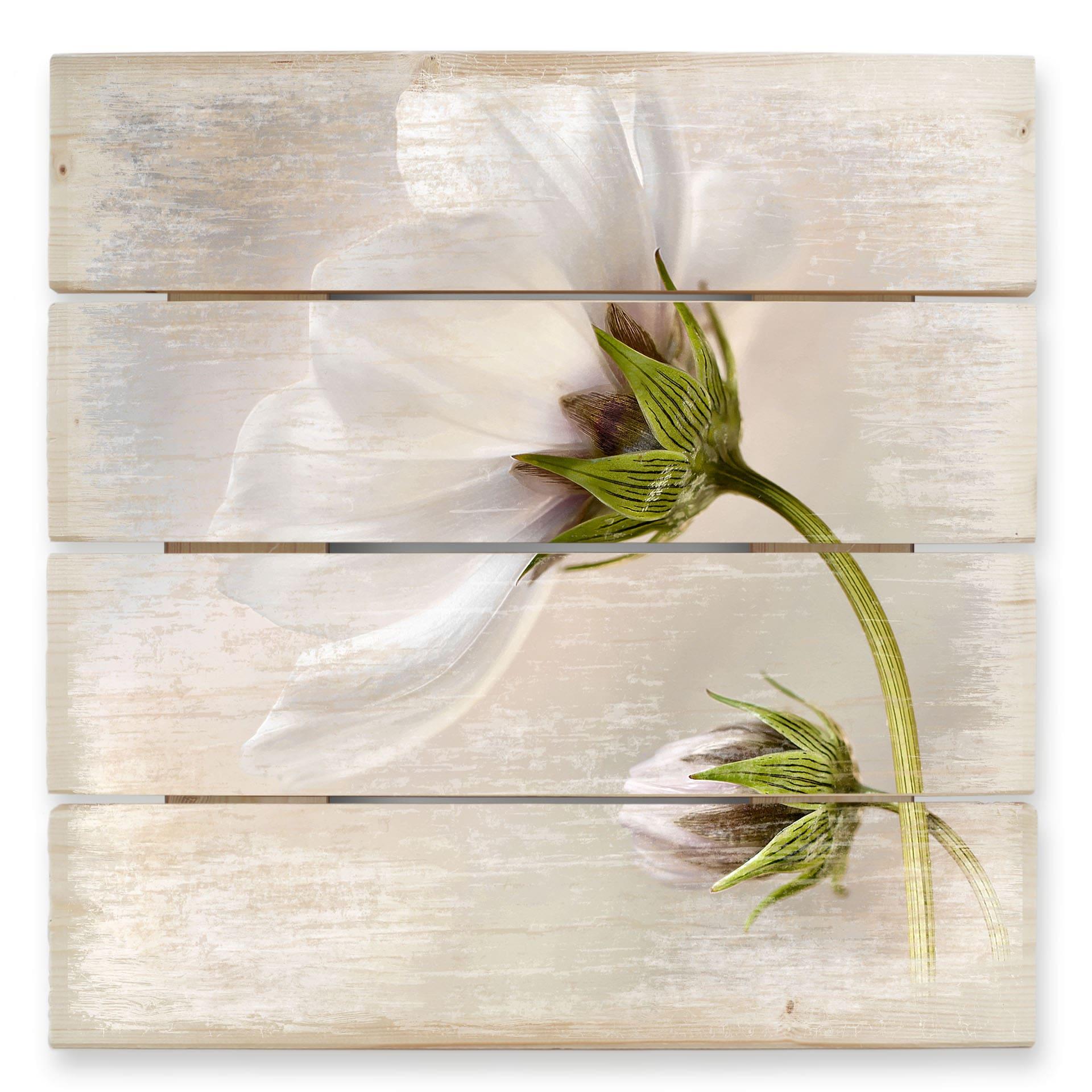 Trätavla Disher - Cosmos - 40x41,5 cm