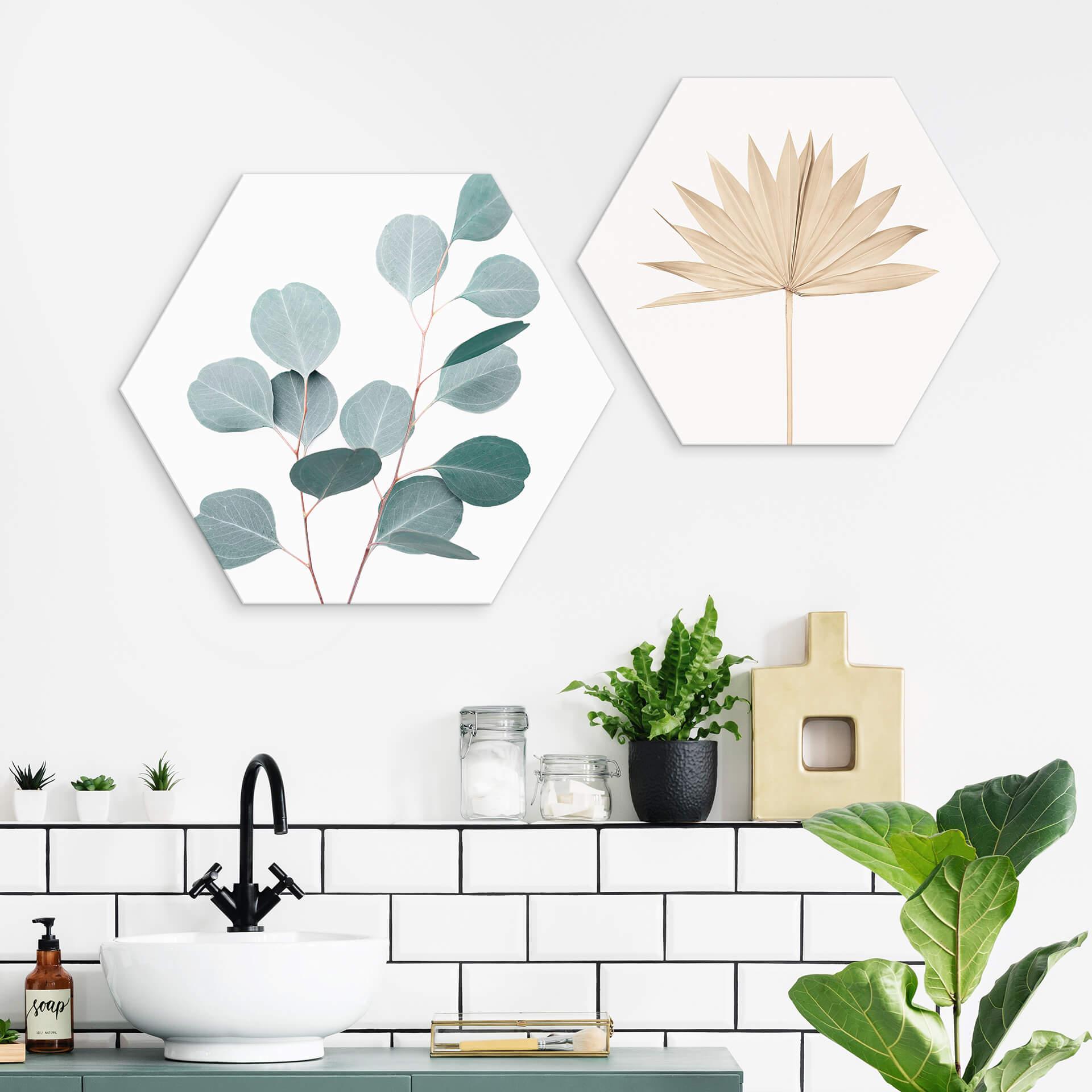 Hexagon Dibond Sisi & Seb - Blue Eucalyptus