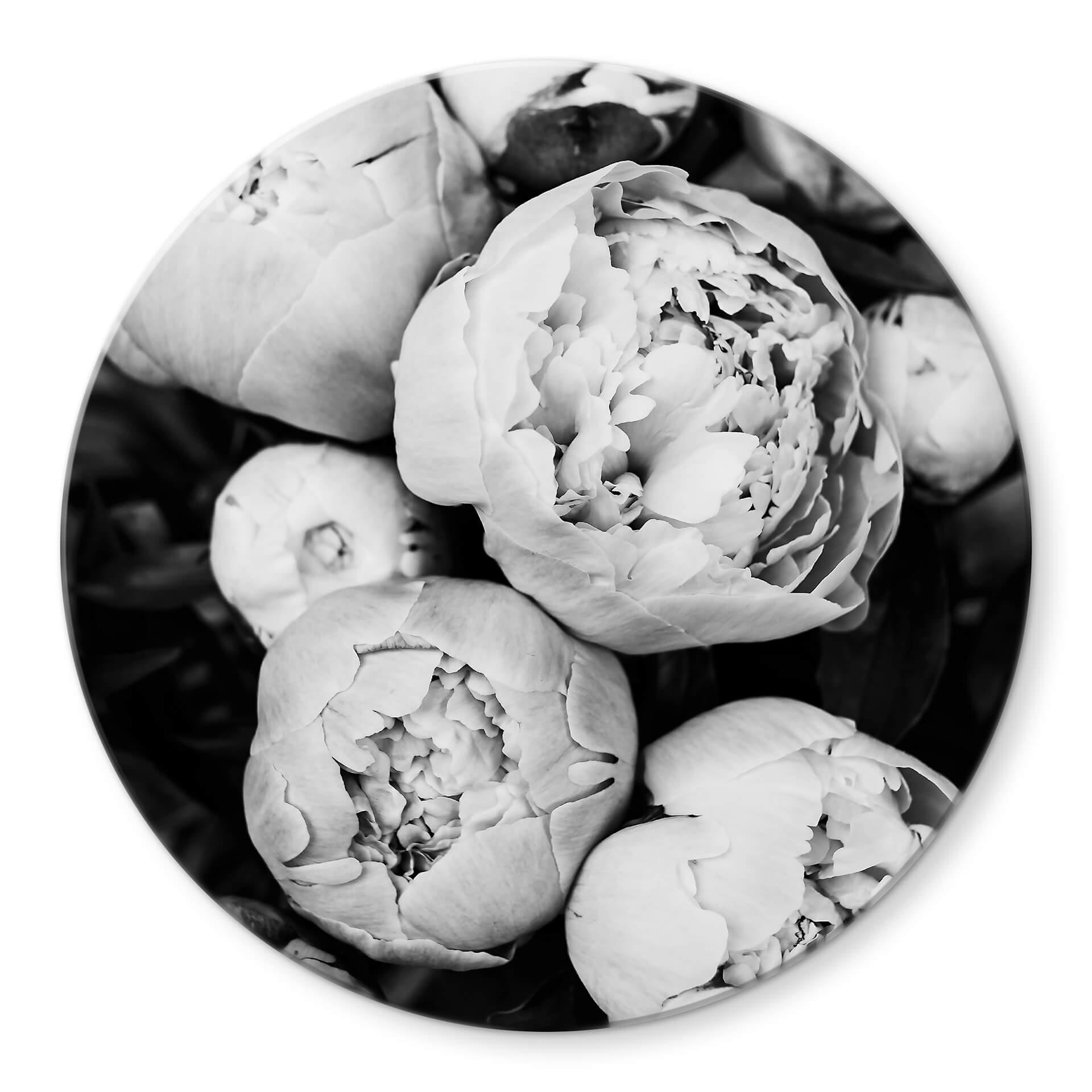 Tableau sur verre Sisi & Seb - Pivoines