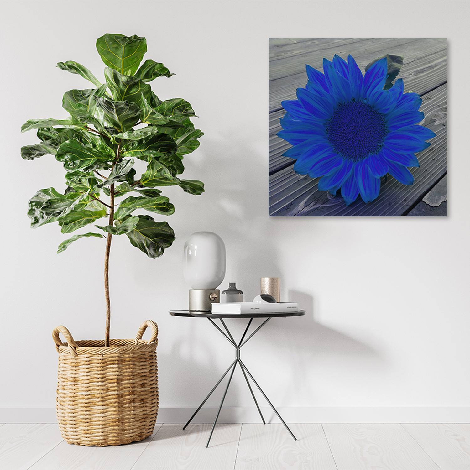 Canvasbillede, blå solsikke