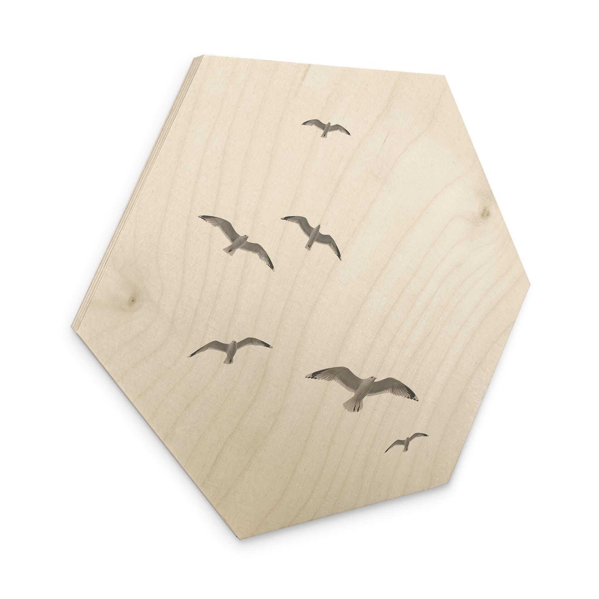 Hexagone - Bois Mouettes dans le ciel