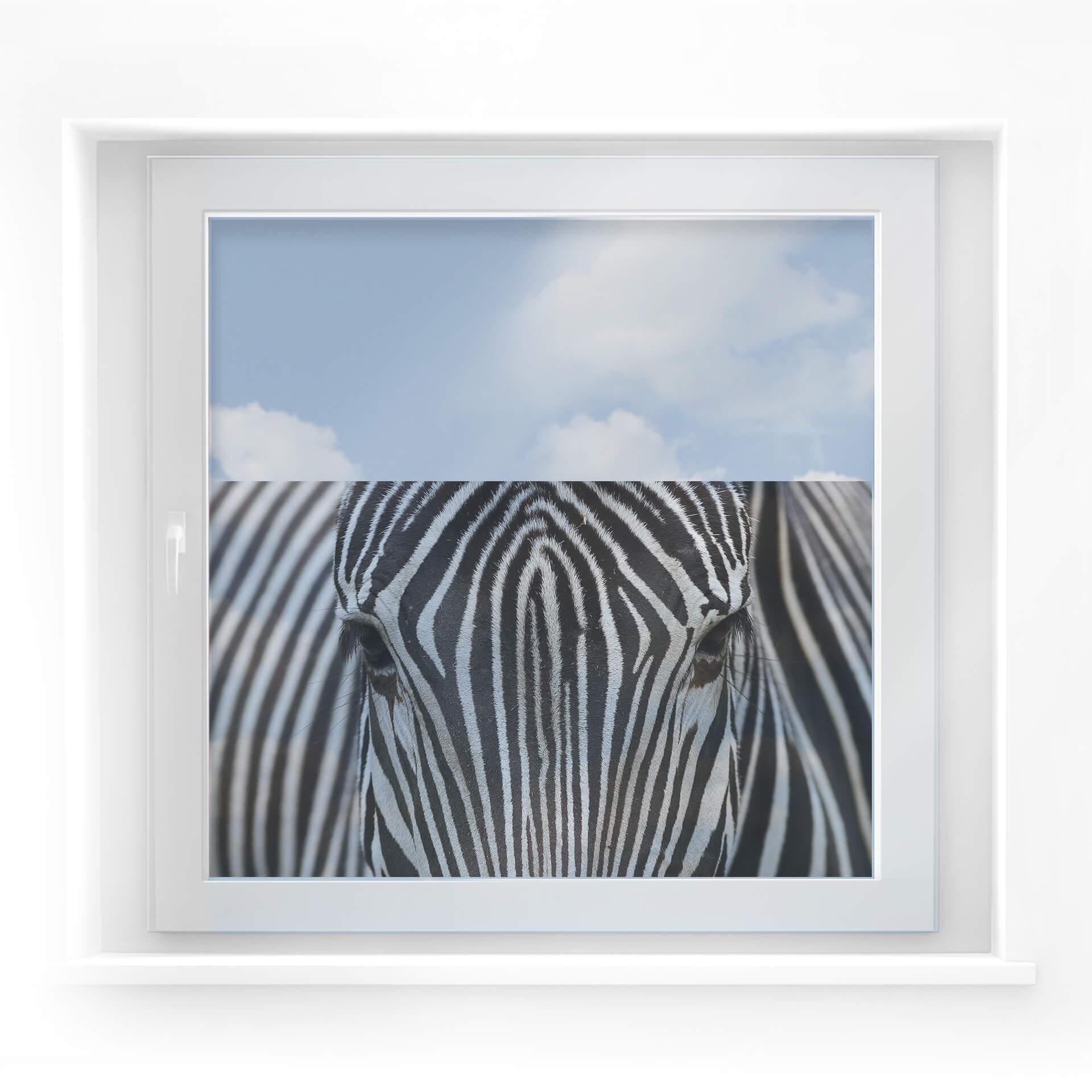 Vinduesudsmykning: Zebra ansigt
