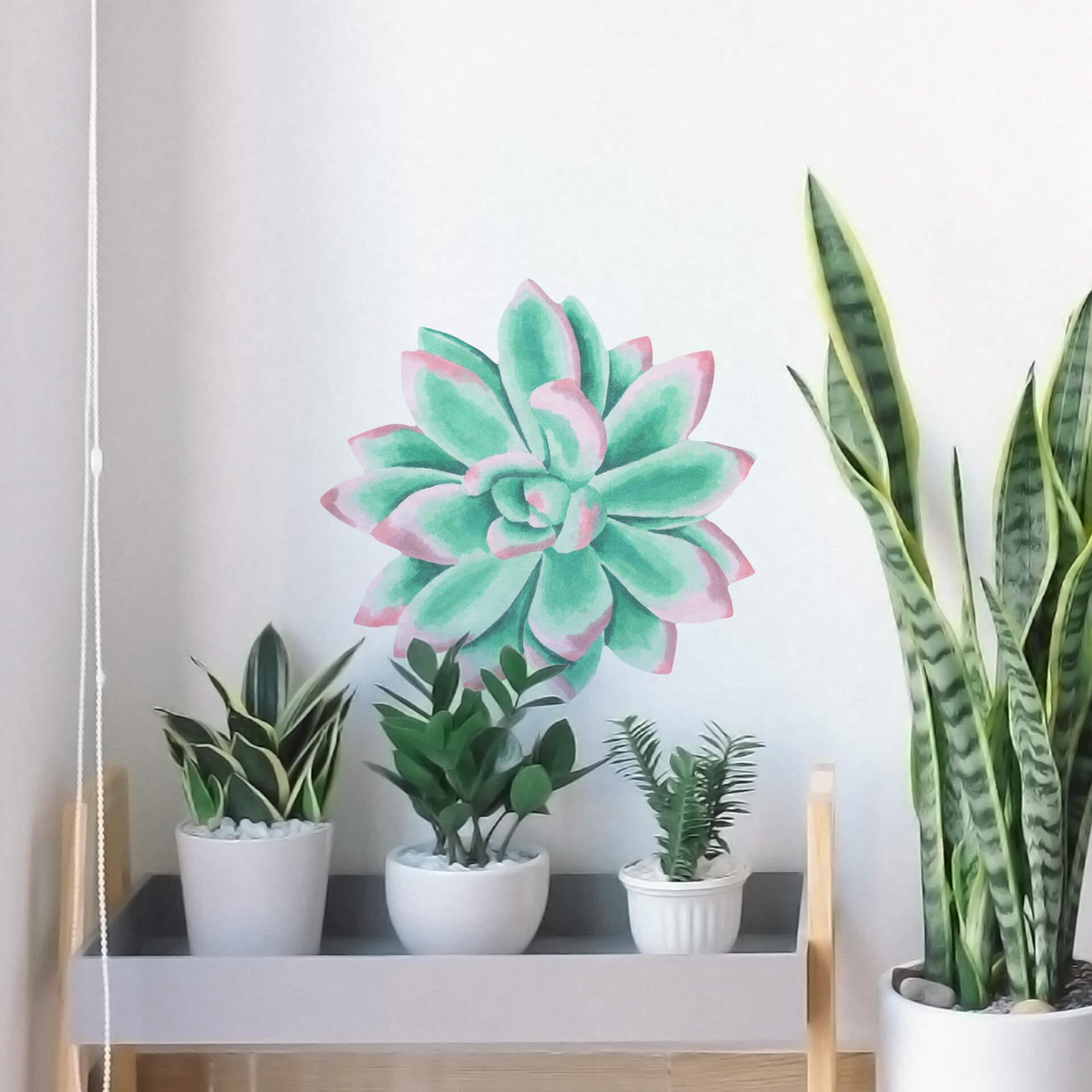 Muursticker Vetplant