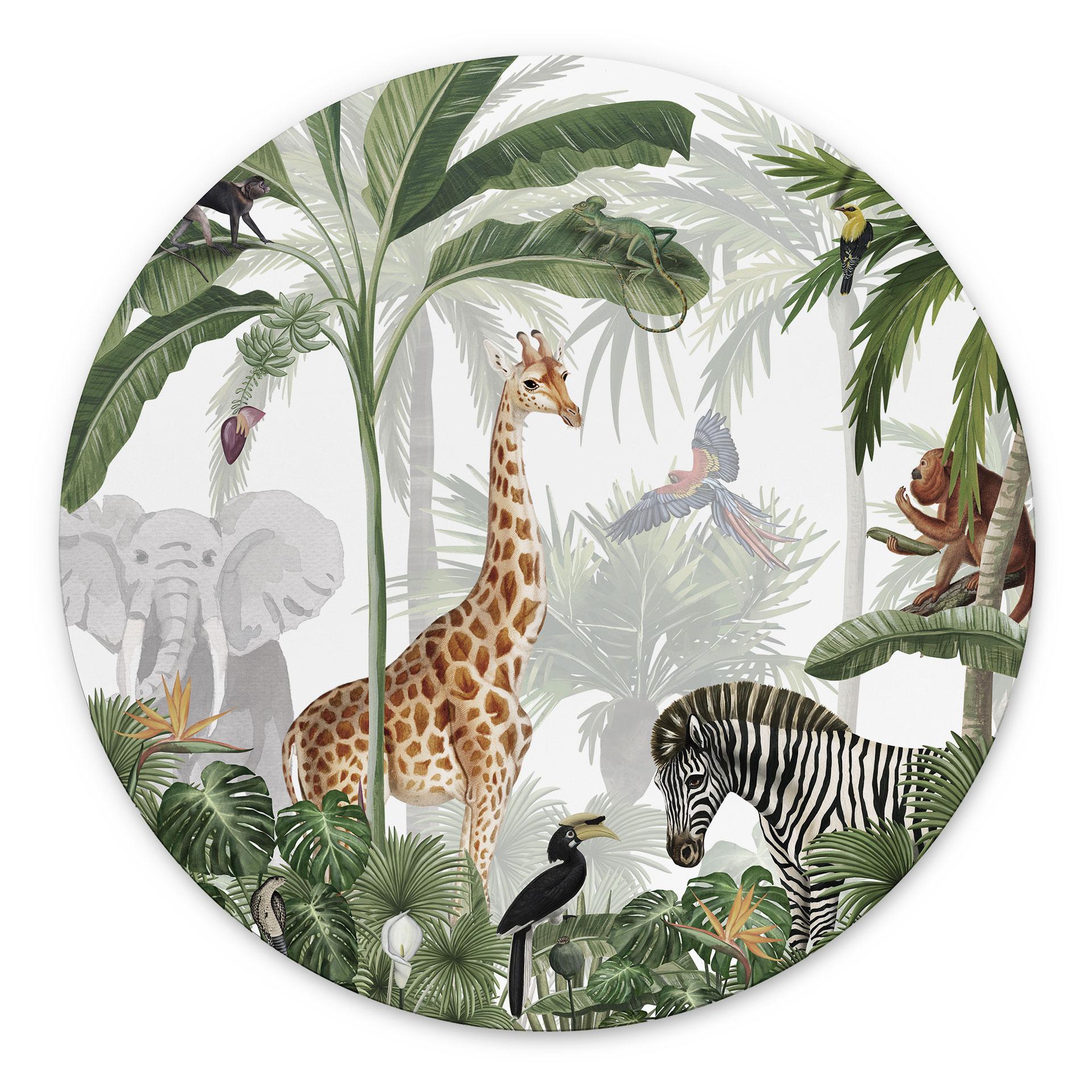 Tableau sur alu-Dibond rond Kikki Belle - Jungle