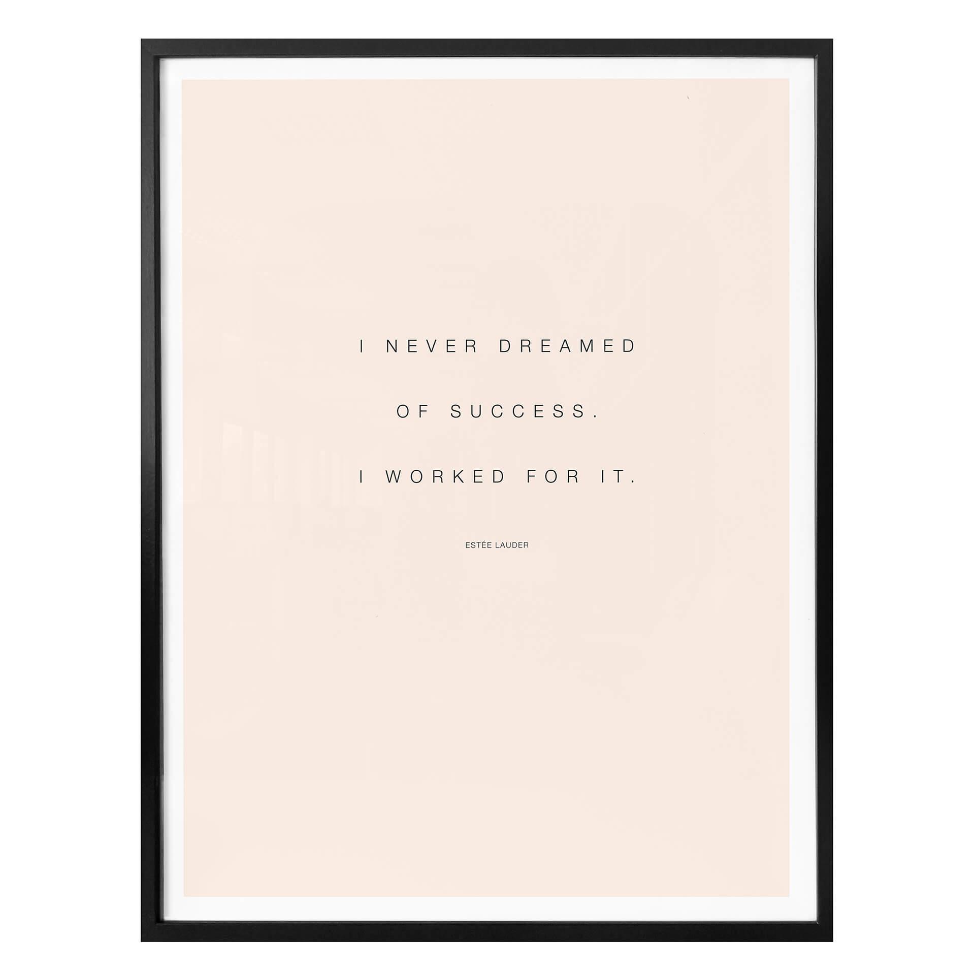Plakat - I never dreamed of succes…
