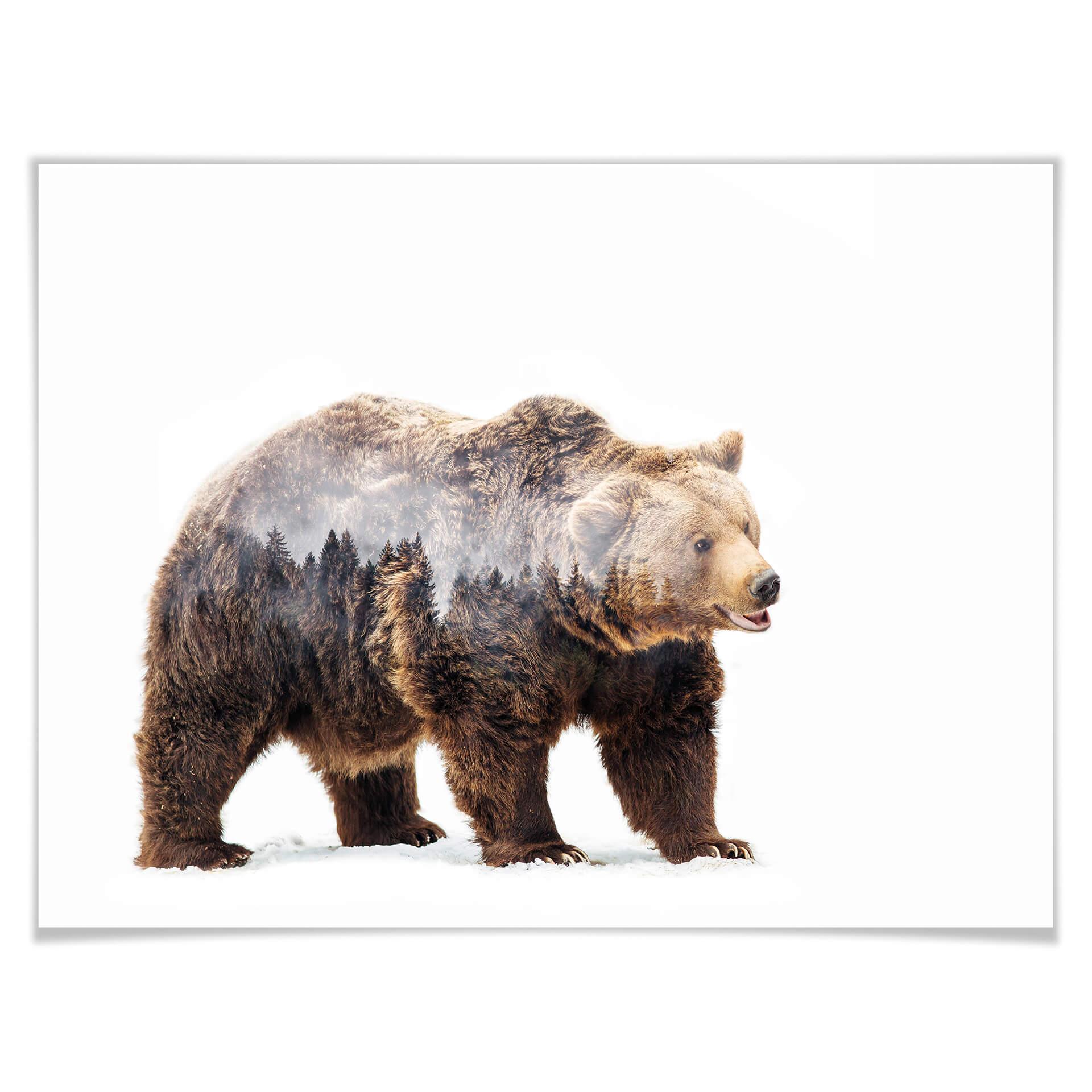 Plakat Beáta - Niedźwiedź