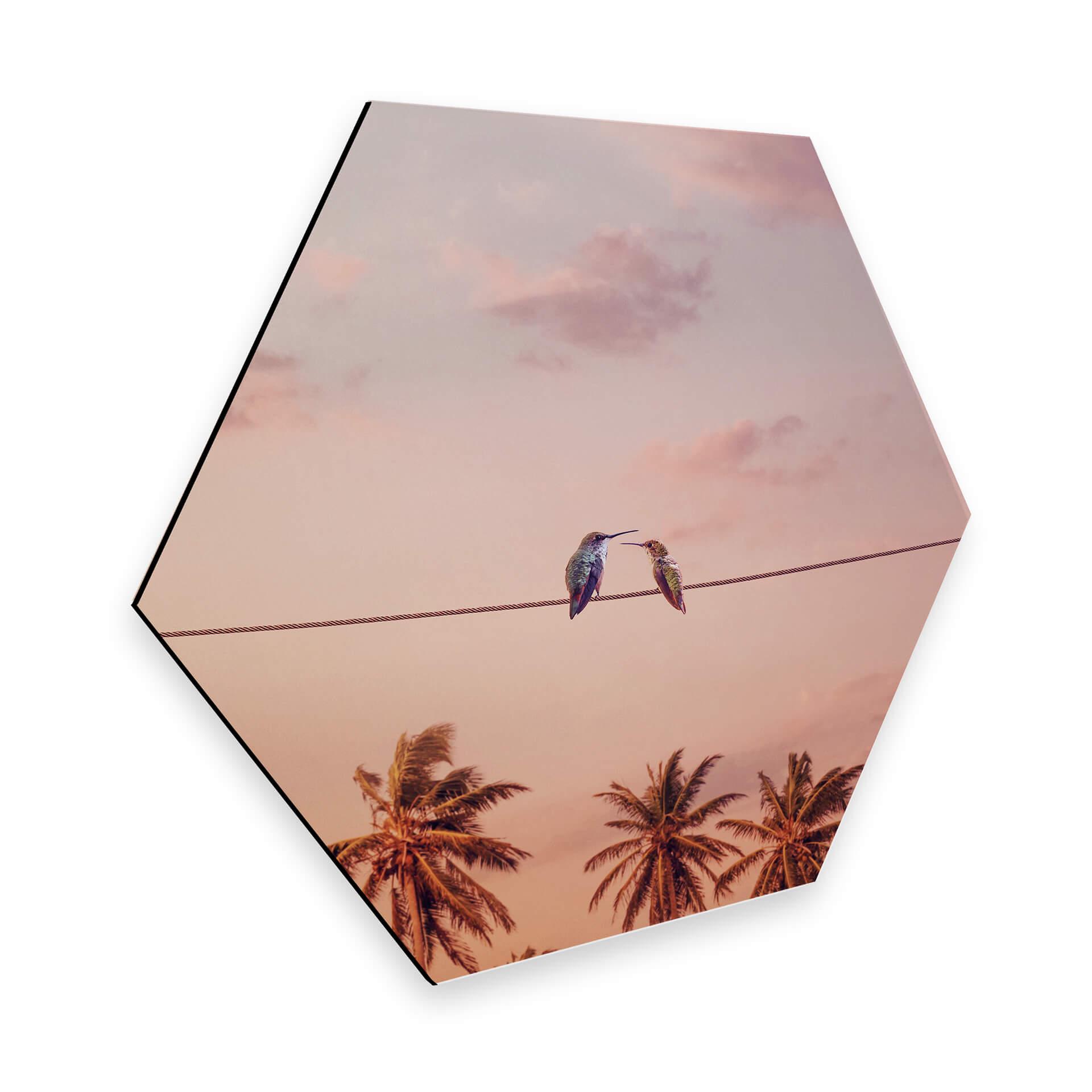 Hexagon Dibond Loose - Hummingbirds in Love