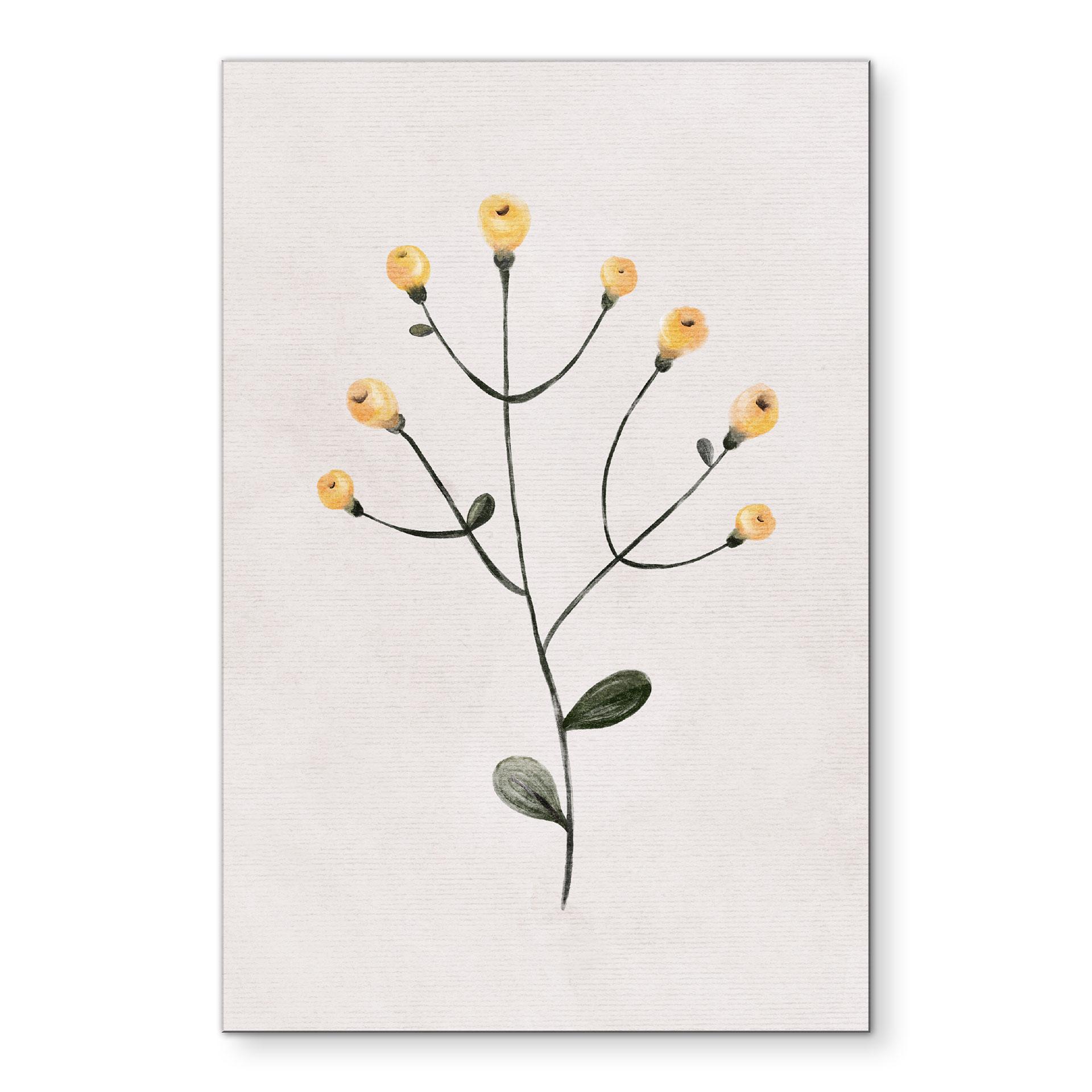 Billede Delikat plante med gule blomster - Goed Blauw – print på aluminium (Alu-Dibond)