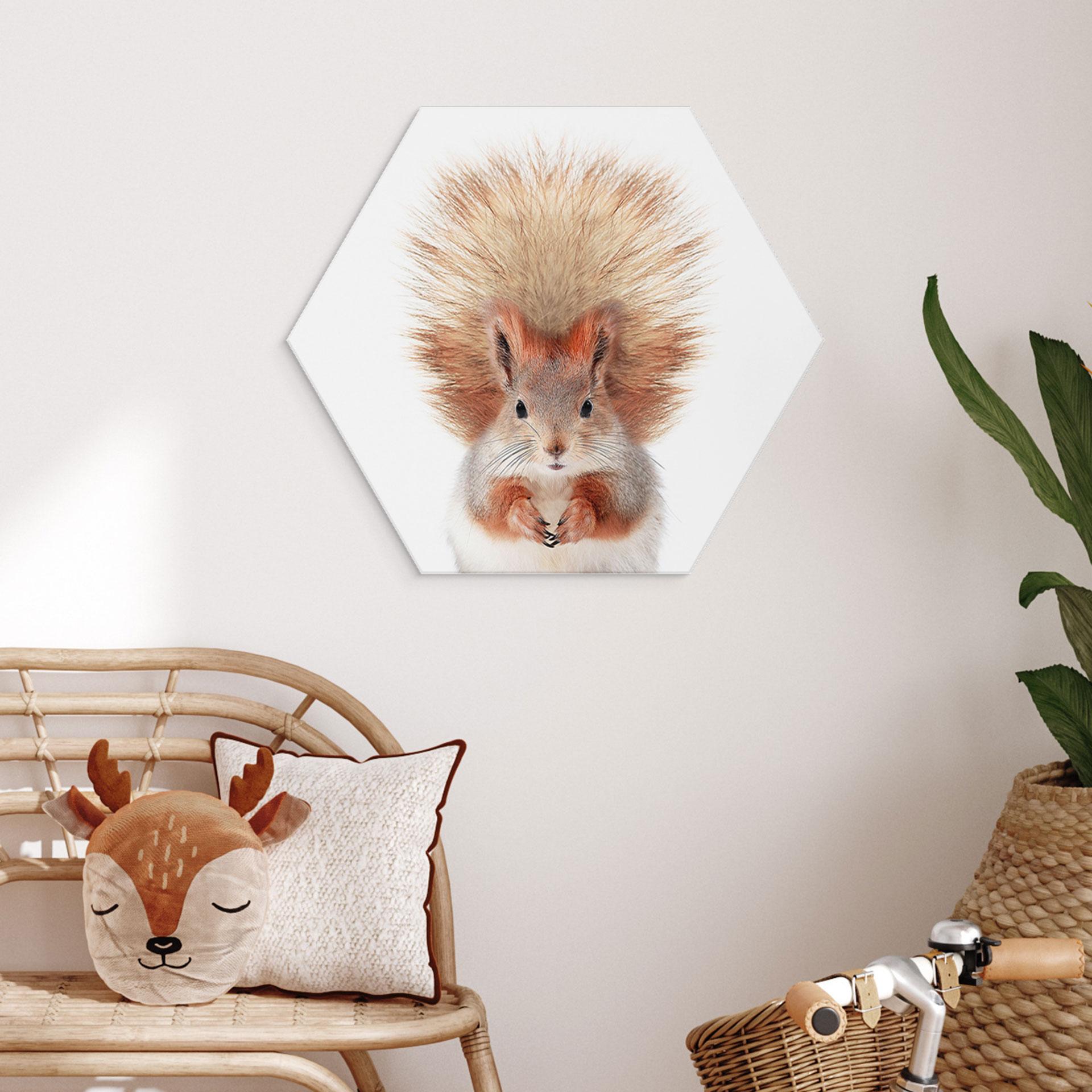 Hexagon Dibond Lille egern - Sisi & Seb