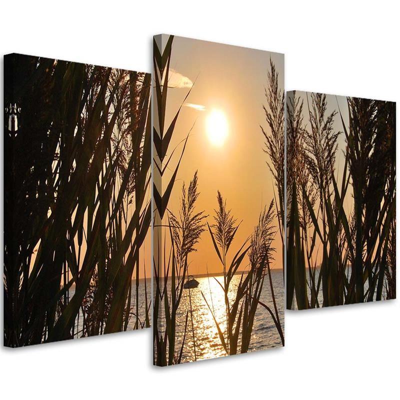 3 stykke lærredsprint, Lake Grass Sunset