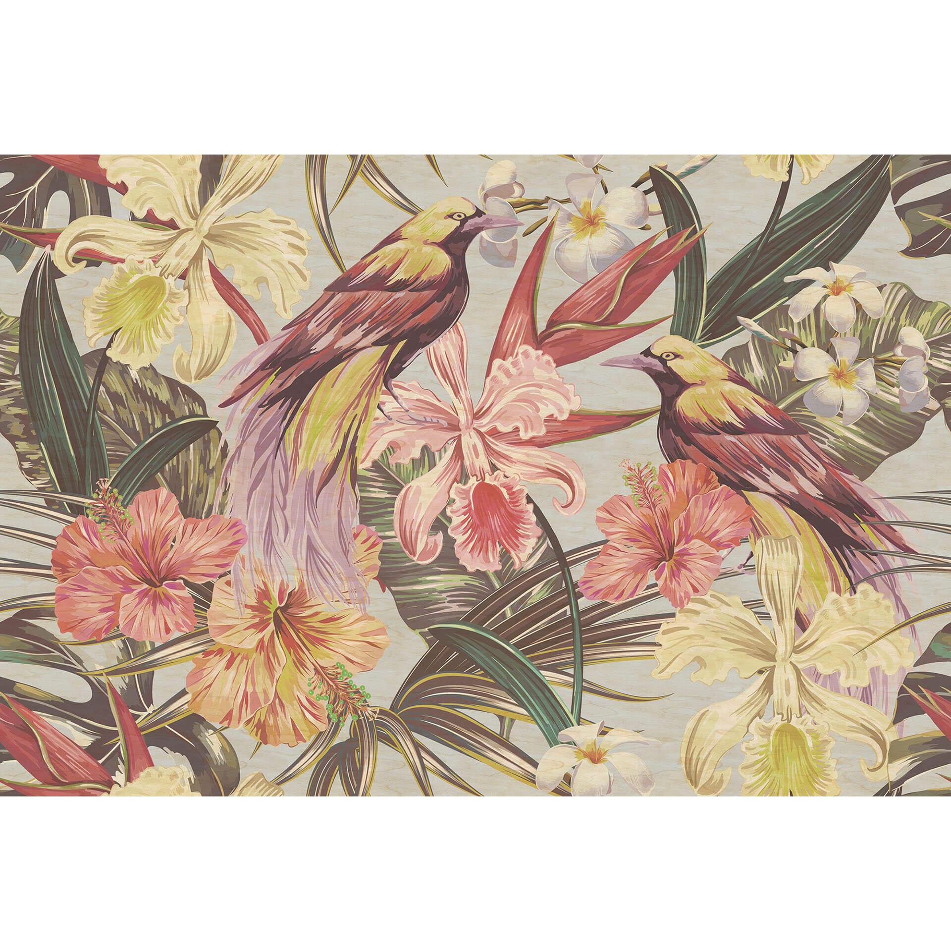 Livingwalls Fotobehang Walls by Patel 2 exotic birds 1