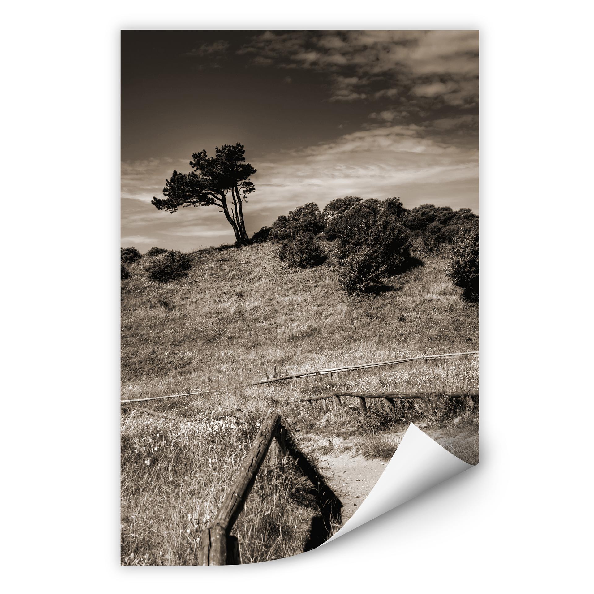 Wallprint W - Landschaft auf Hiddensee