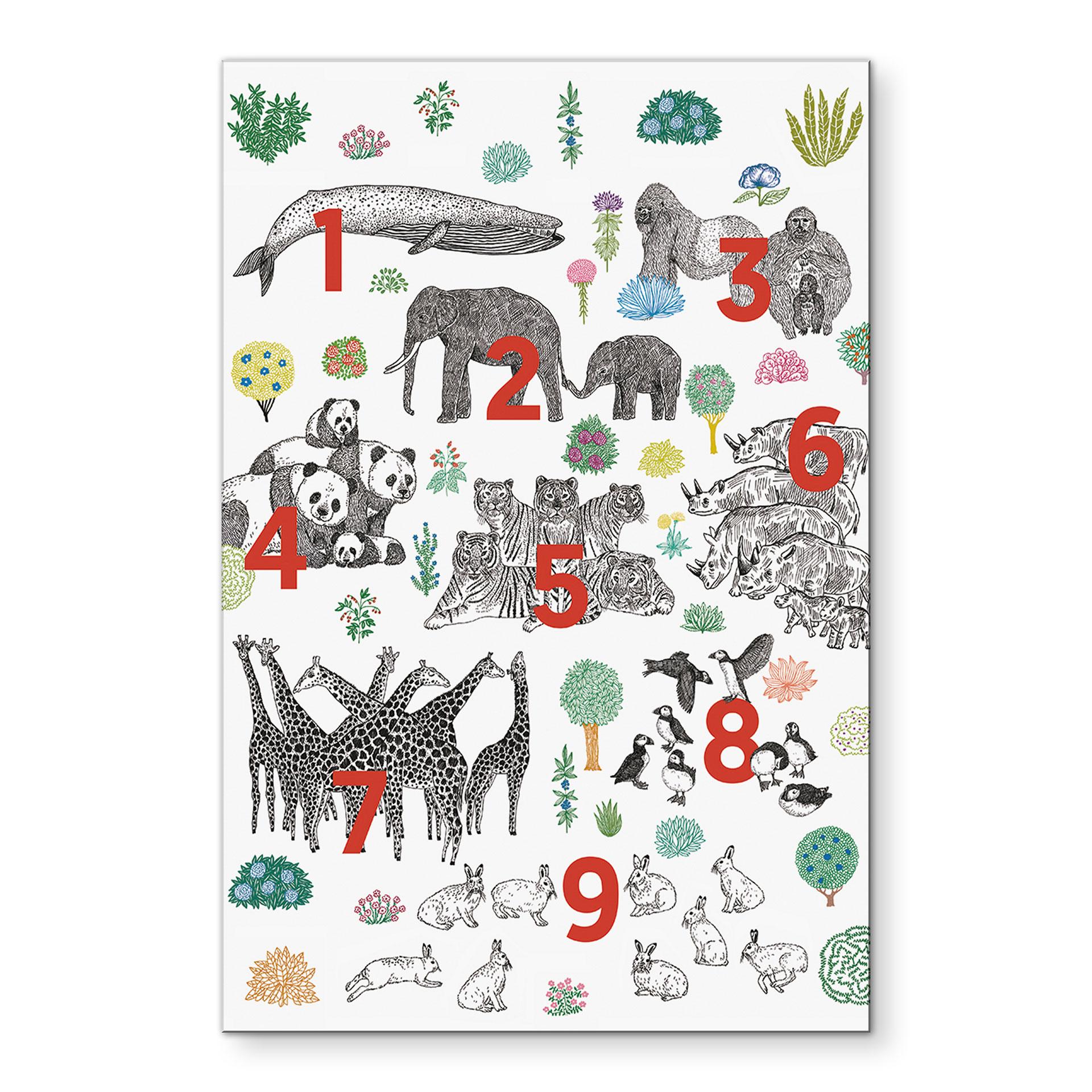 Wandbild Illustration von Zootieren mit Zahlen - Walentynowicz - Alu-Dibond