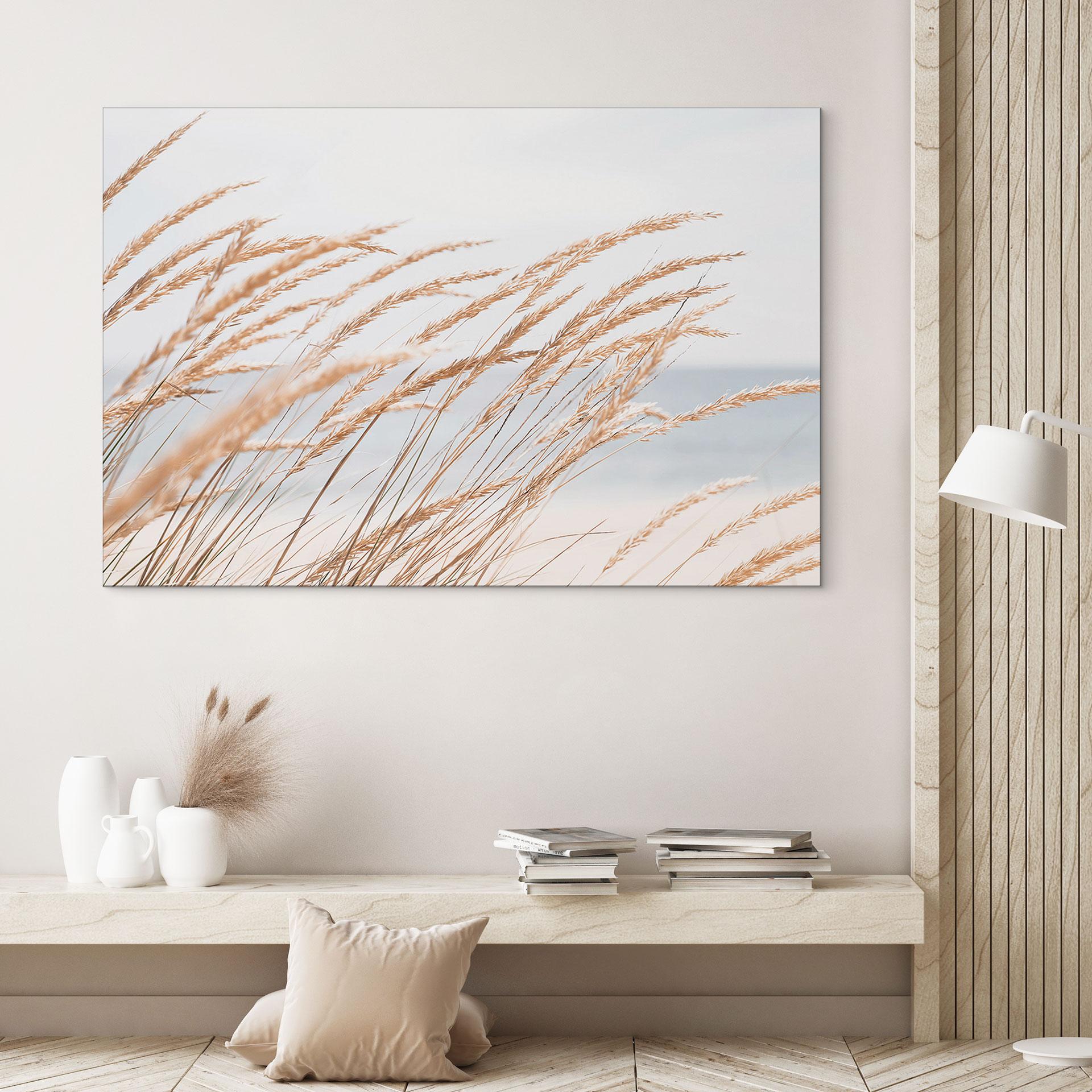 Wandbild Dünengras - Alu-Dibond