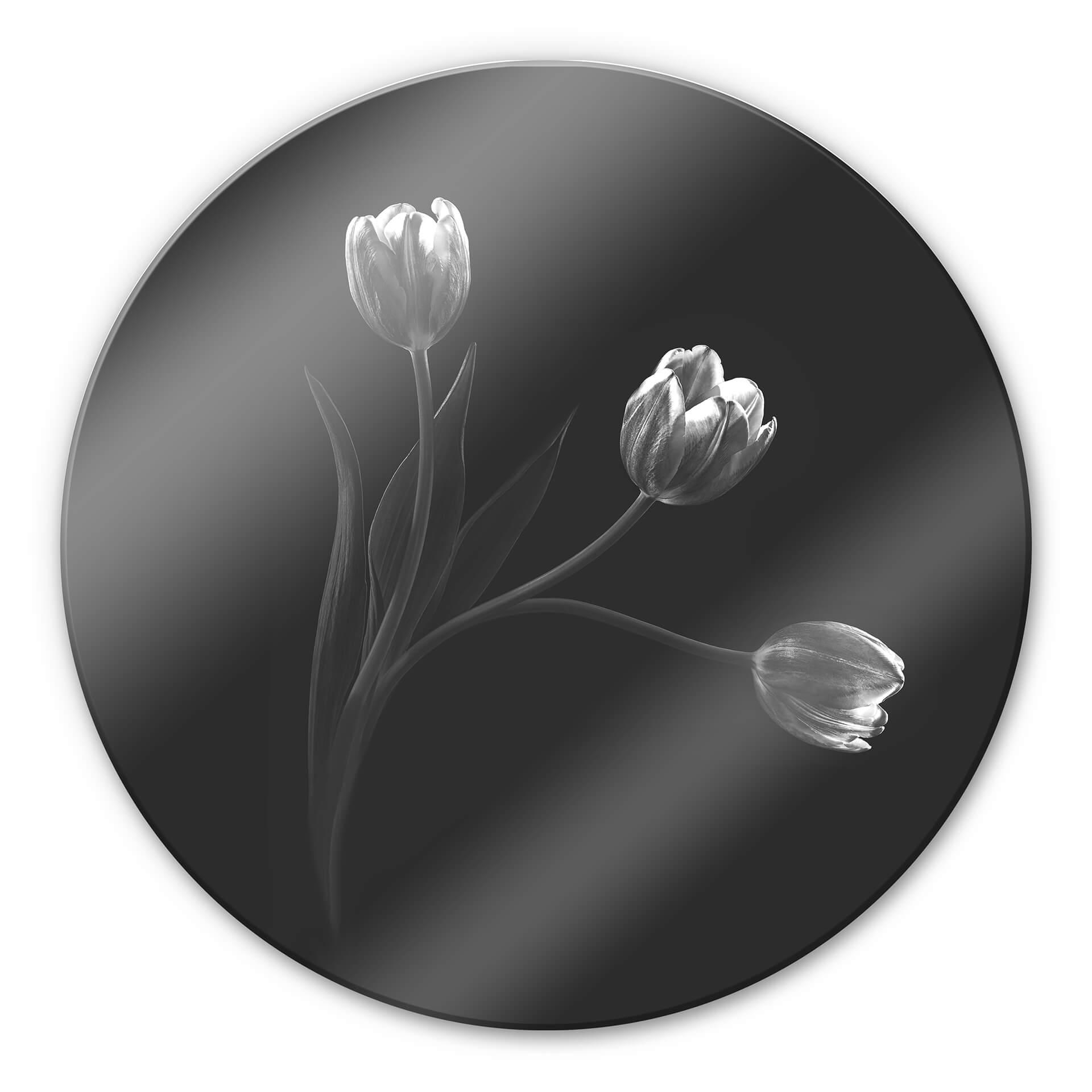Glasbillede - Pan - Tulipantrio - Rund