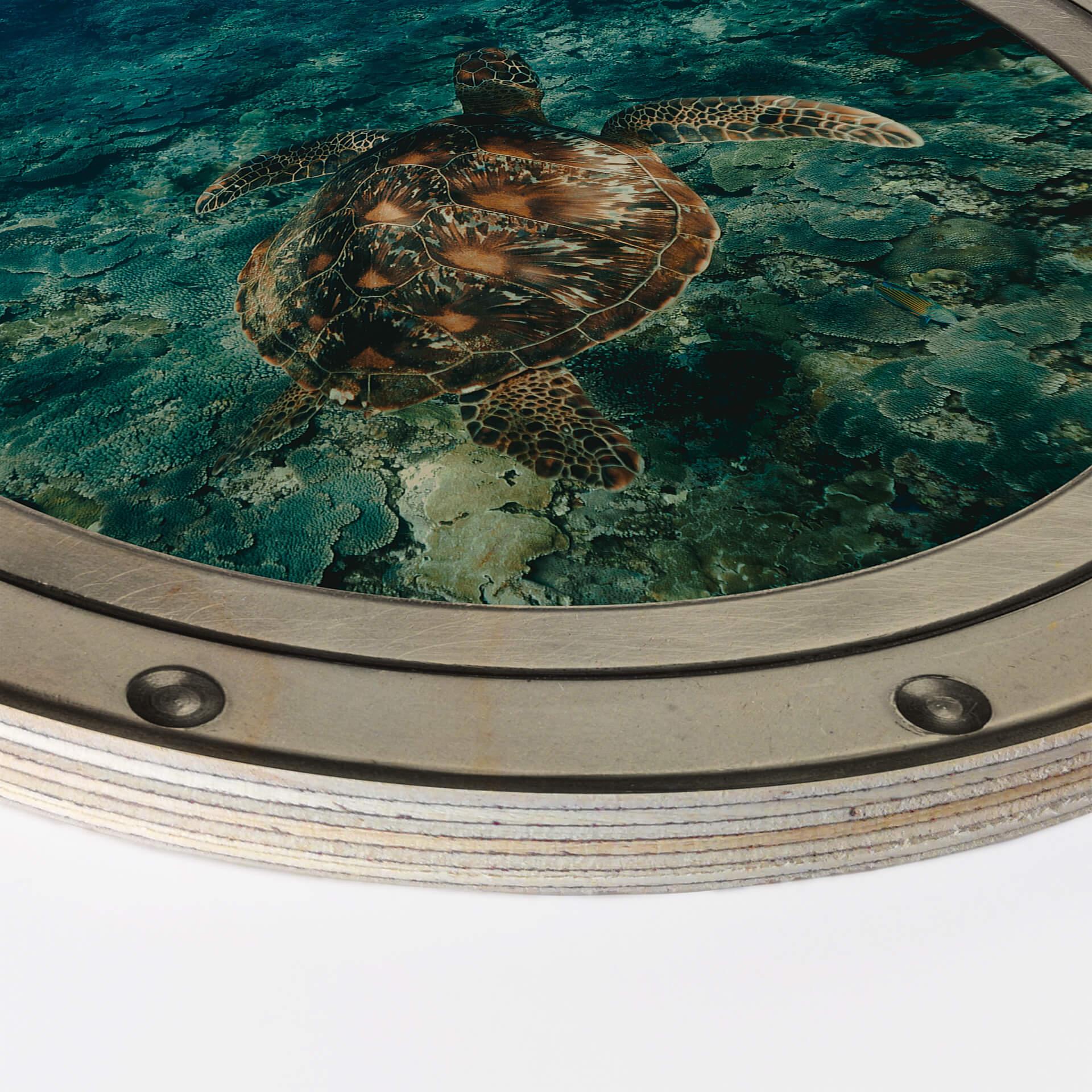 Billede af træ 3D-optik - Skildpadde fra oven - Rund