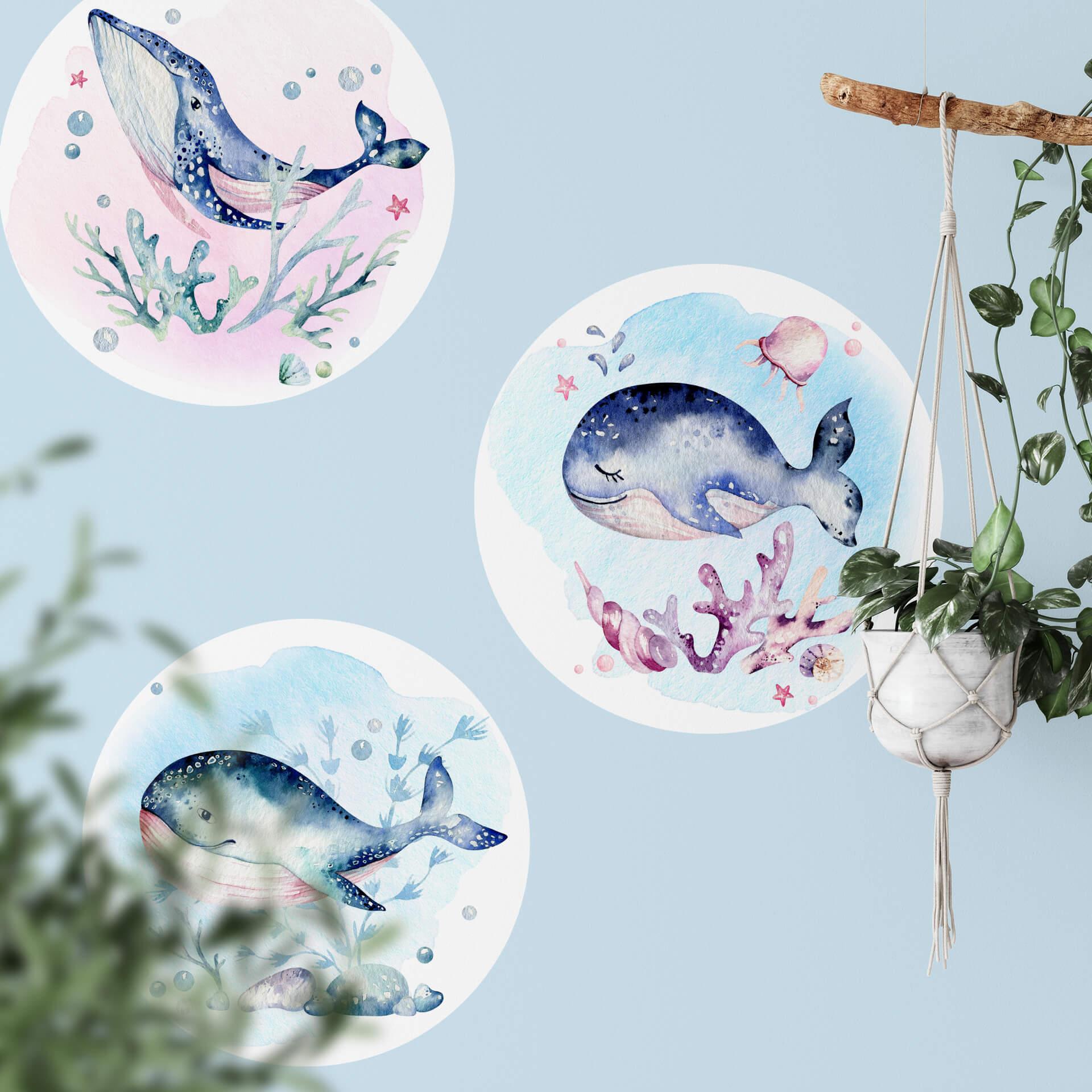 Wandtattoo Kvilis - Junger Walfisch - Rund
