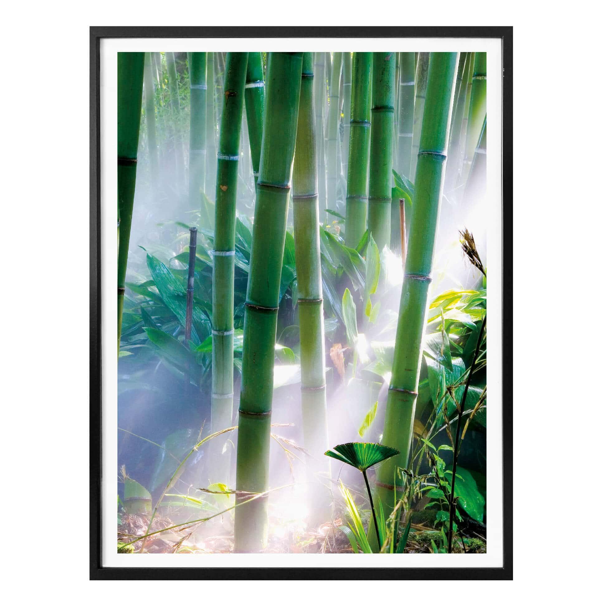 Plakat - Bamboo Forest - Detail