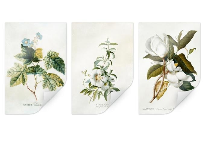 Poster - Ehret - Set (3 parties)