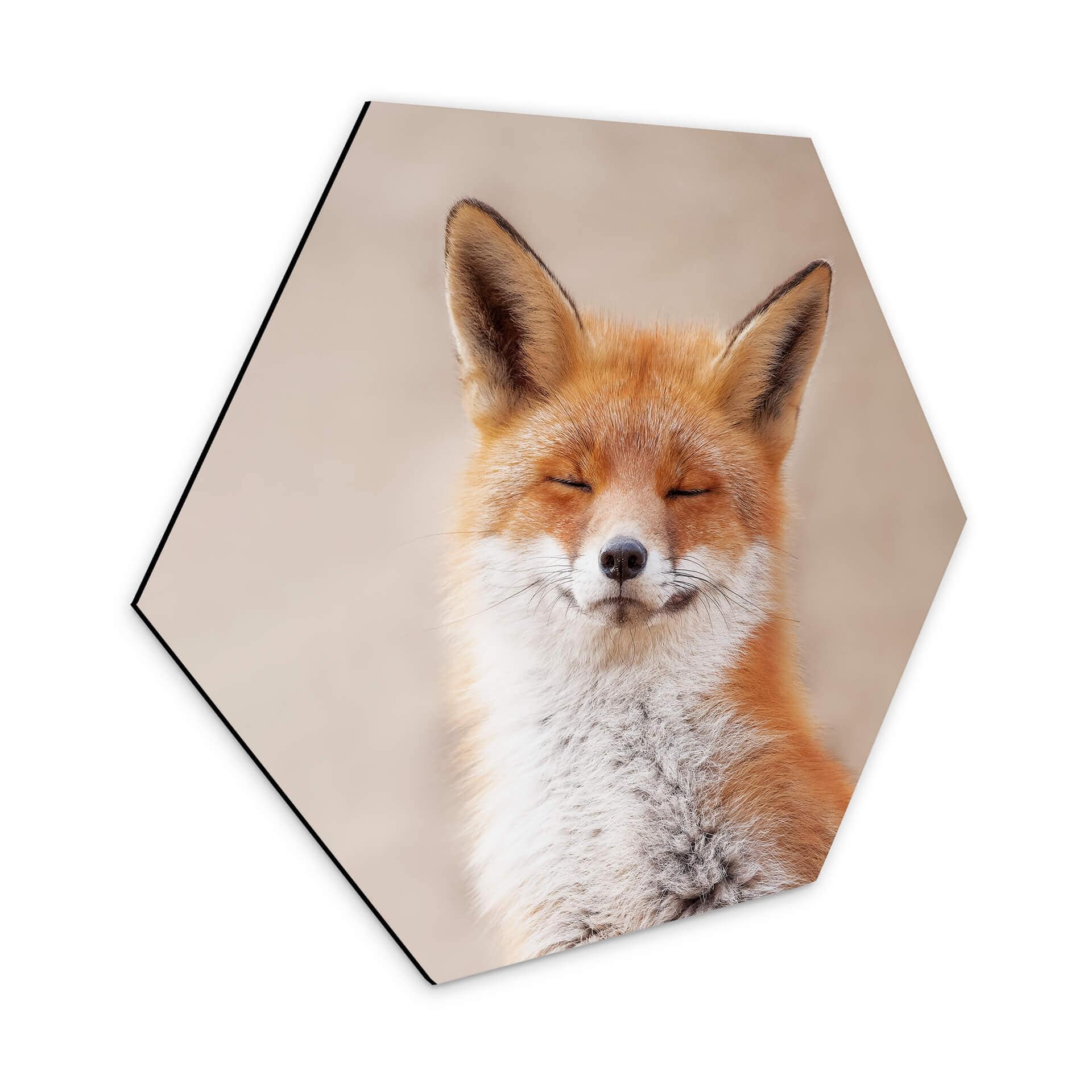 Hexagone - Alu-Dibond van Duijn - Renard content