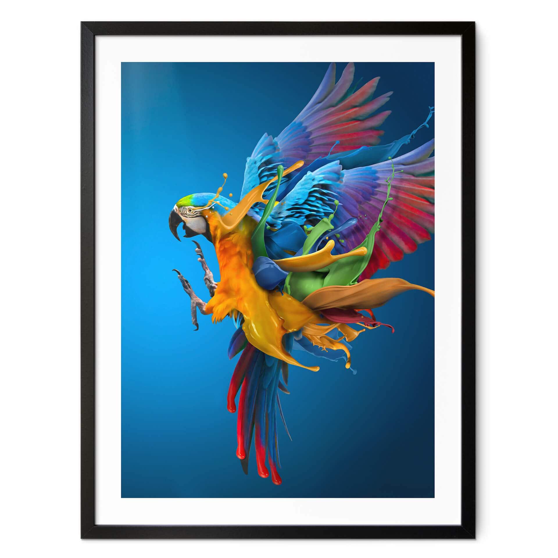 Póster Almawash - El loro y el juego de colores