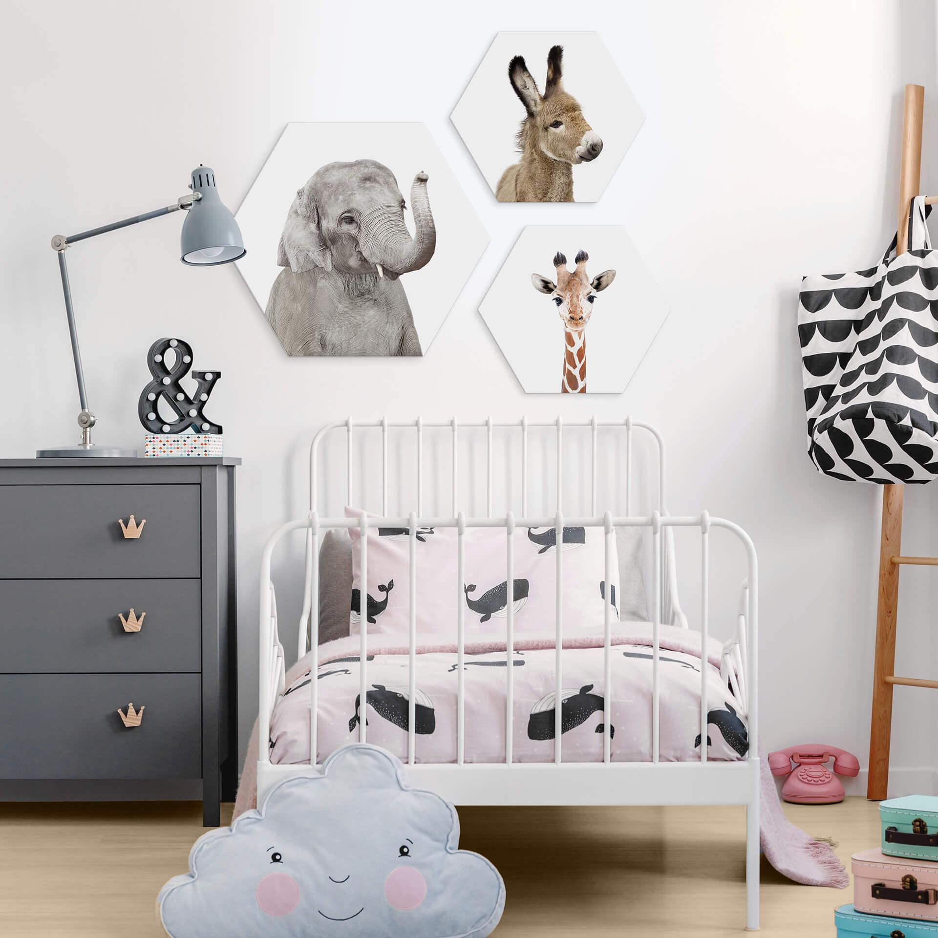 Hexagon Dibond Sisi & Seb - Baby Giraffe