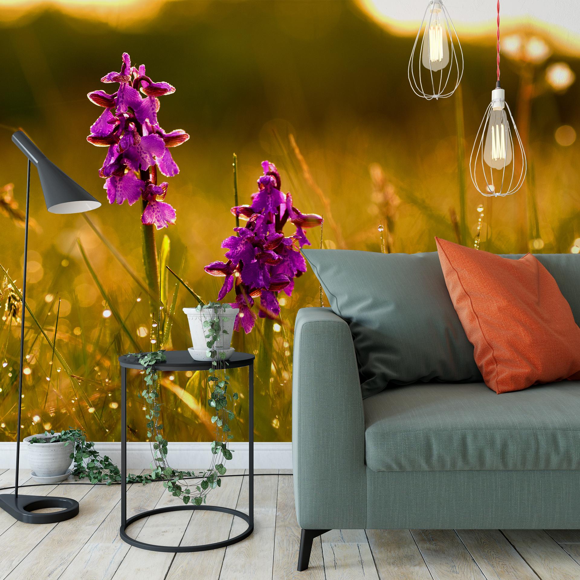 Fototapet - Blomster om morgenen