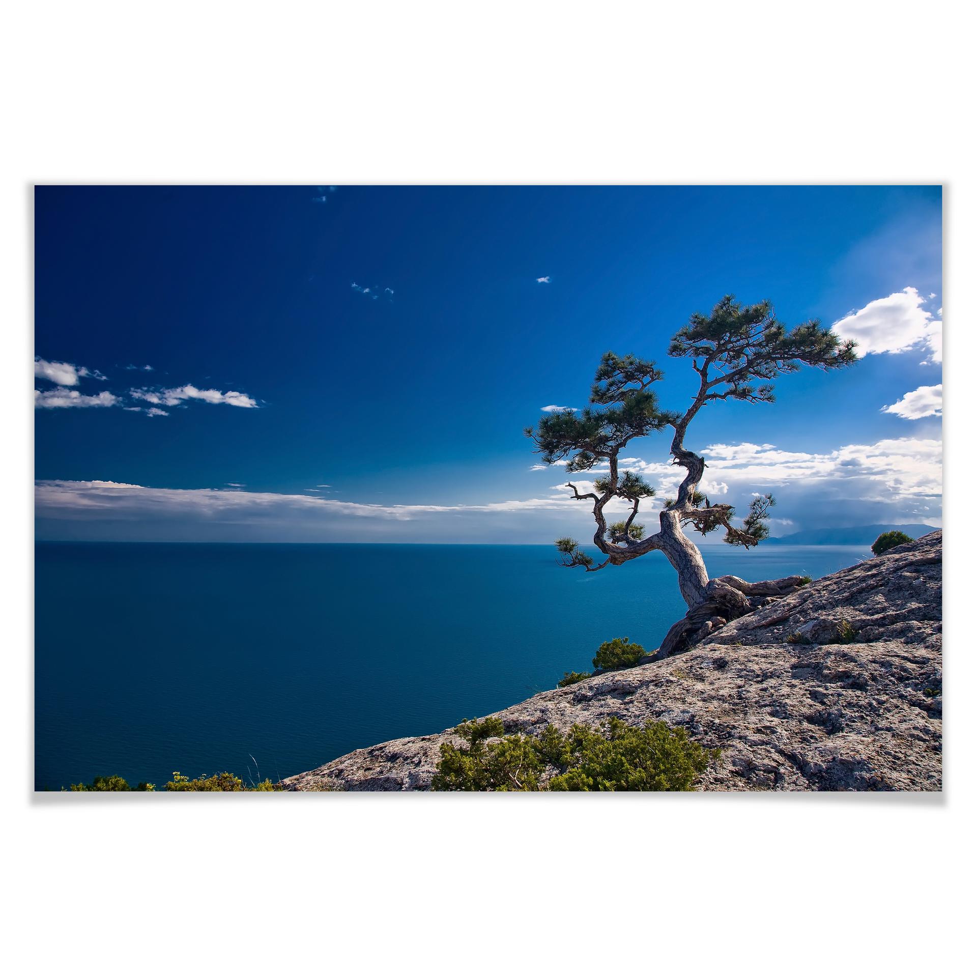 Poster - Sea and Tree
