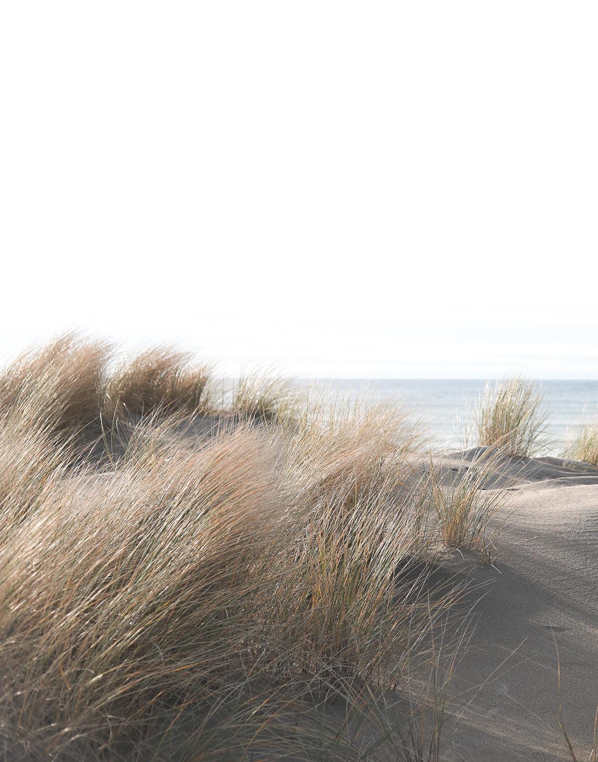Fotobehang met gras aan zee beige,Bloem 2,70 x 2,12 m