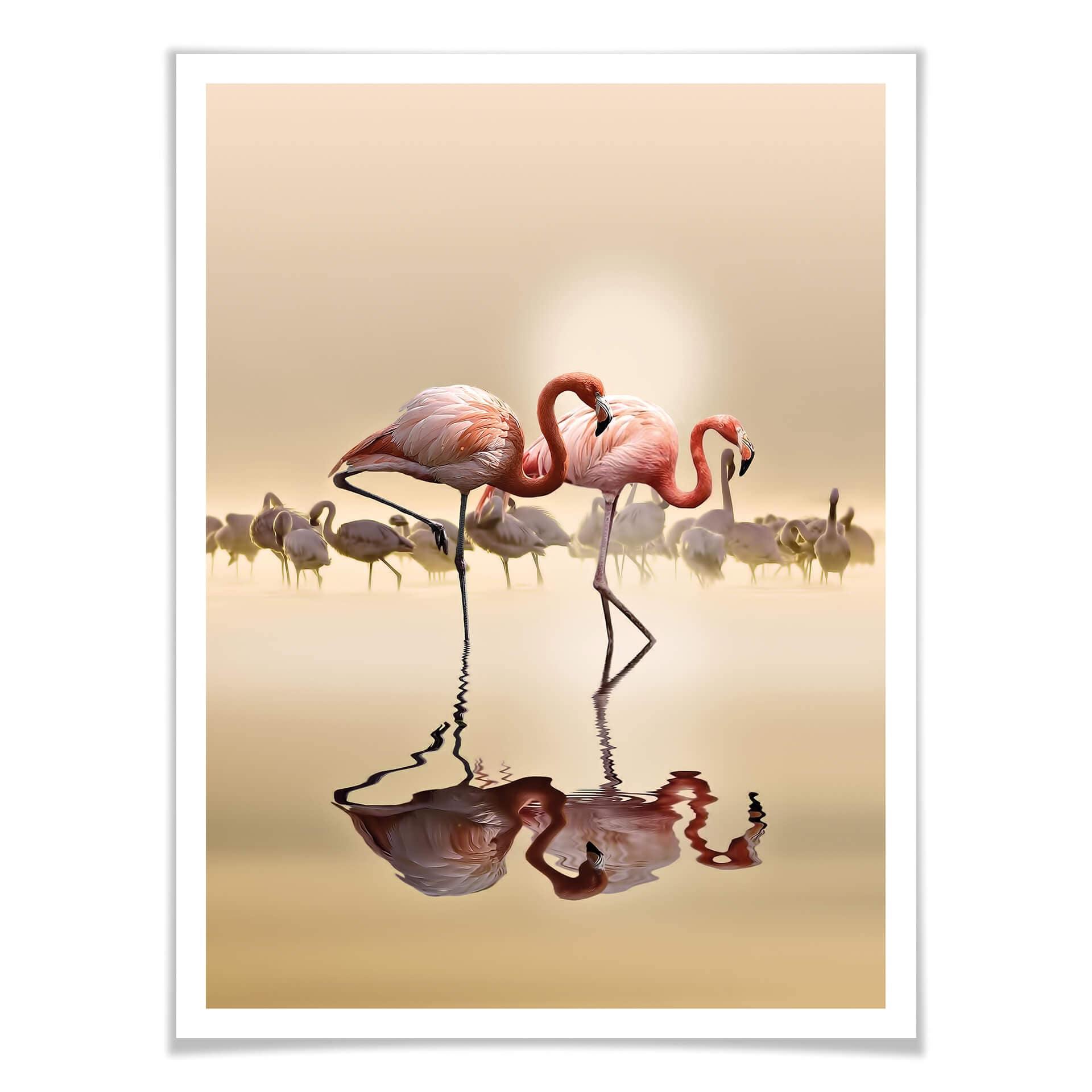 Plakat Osman - Flamingo